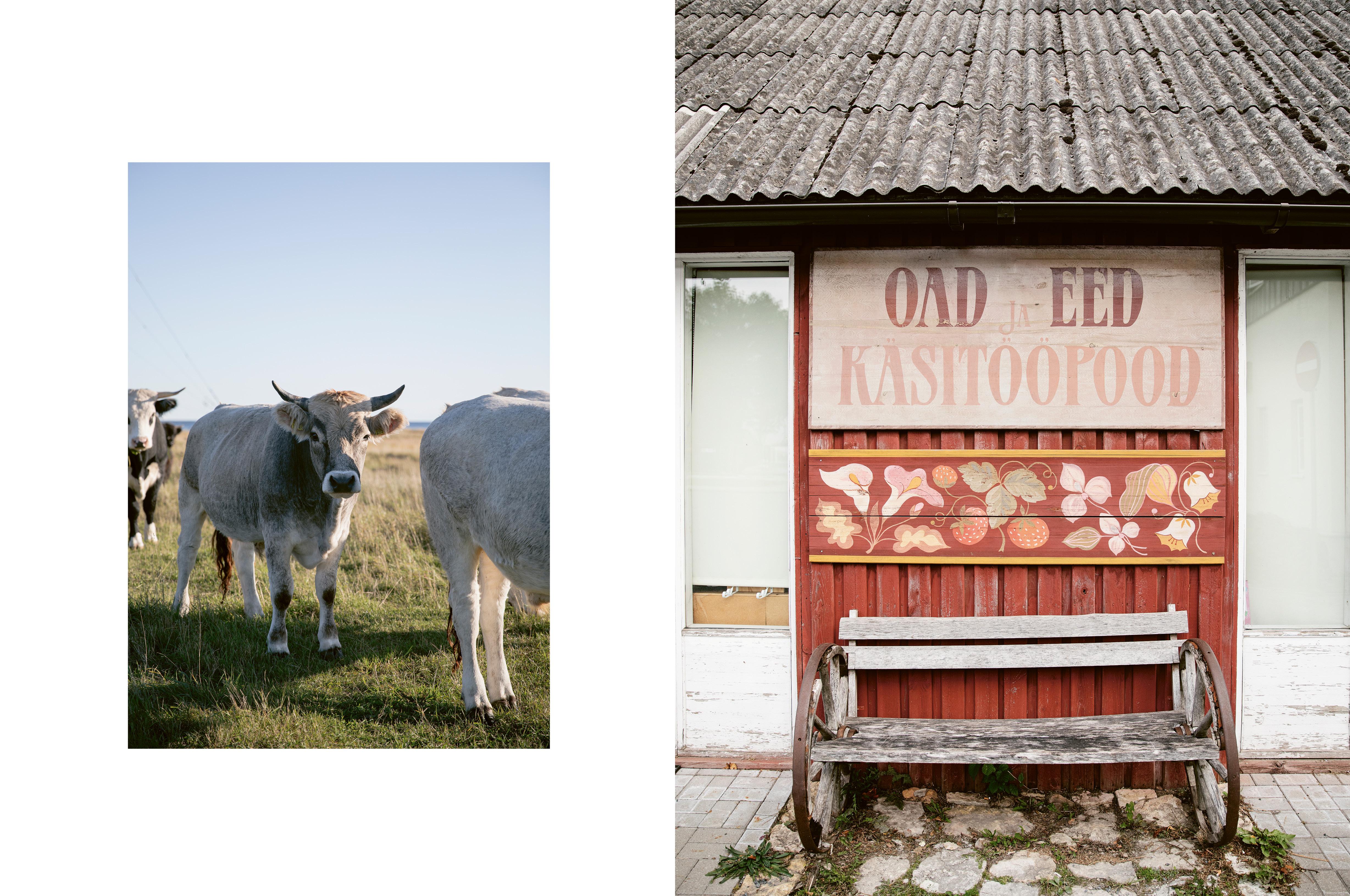 Beispielinhalt (Bild) Estnisch Stricken