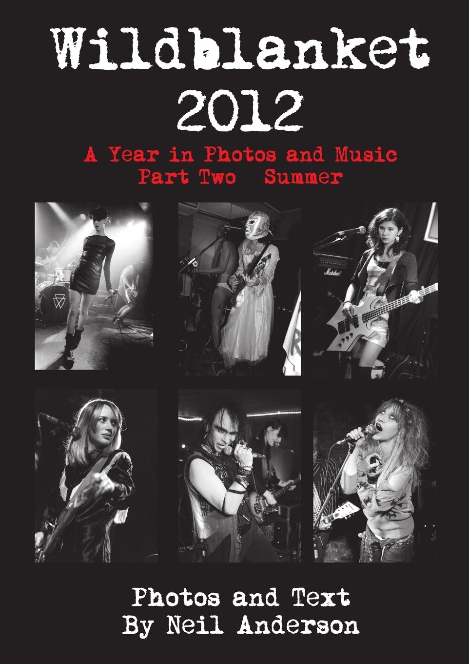 Vorderes Coverbild Wildblanket 2012 Part Two