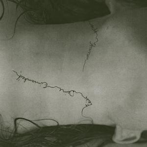 Vorderes Coverbild Feier Deine Einsamkeit