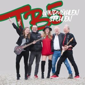 Vorderes Coverbild Windmühlen stehlen