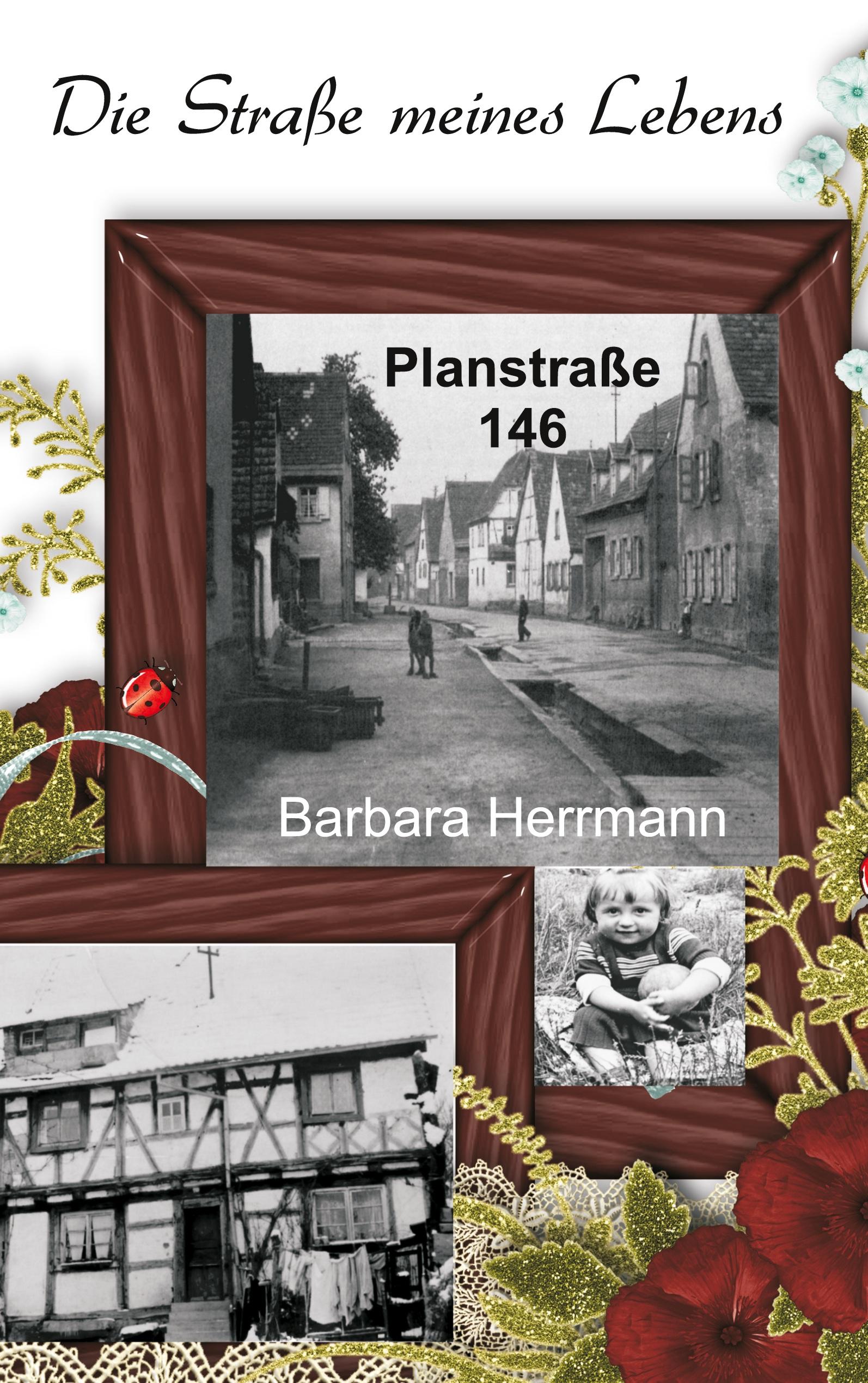 Vorderes Coverbild Die Straße meines Lebens