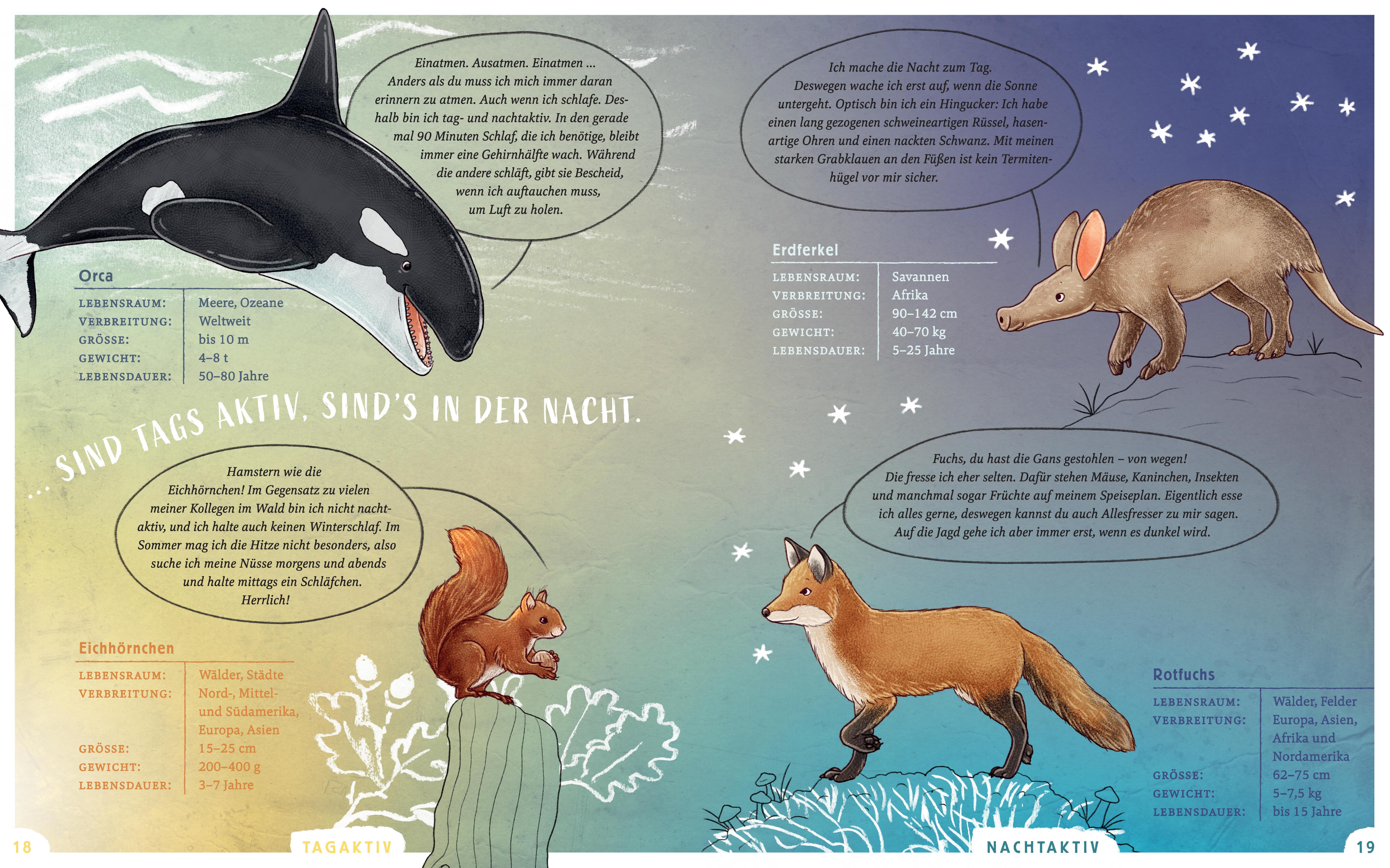 Beispielinhalt (Bild) Wir sind die Tiere dieser Welt