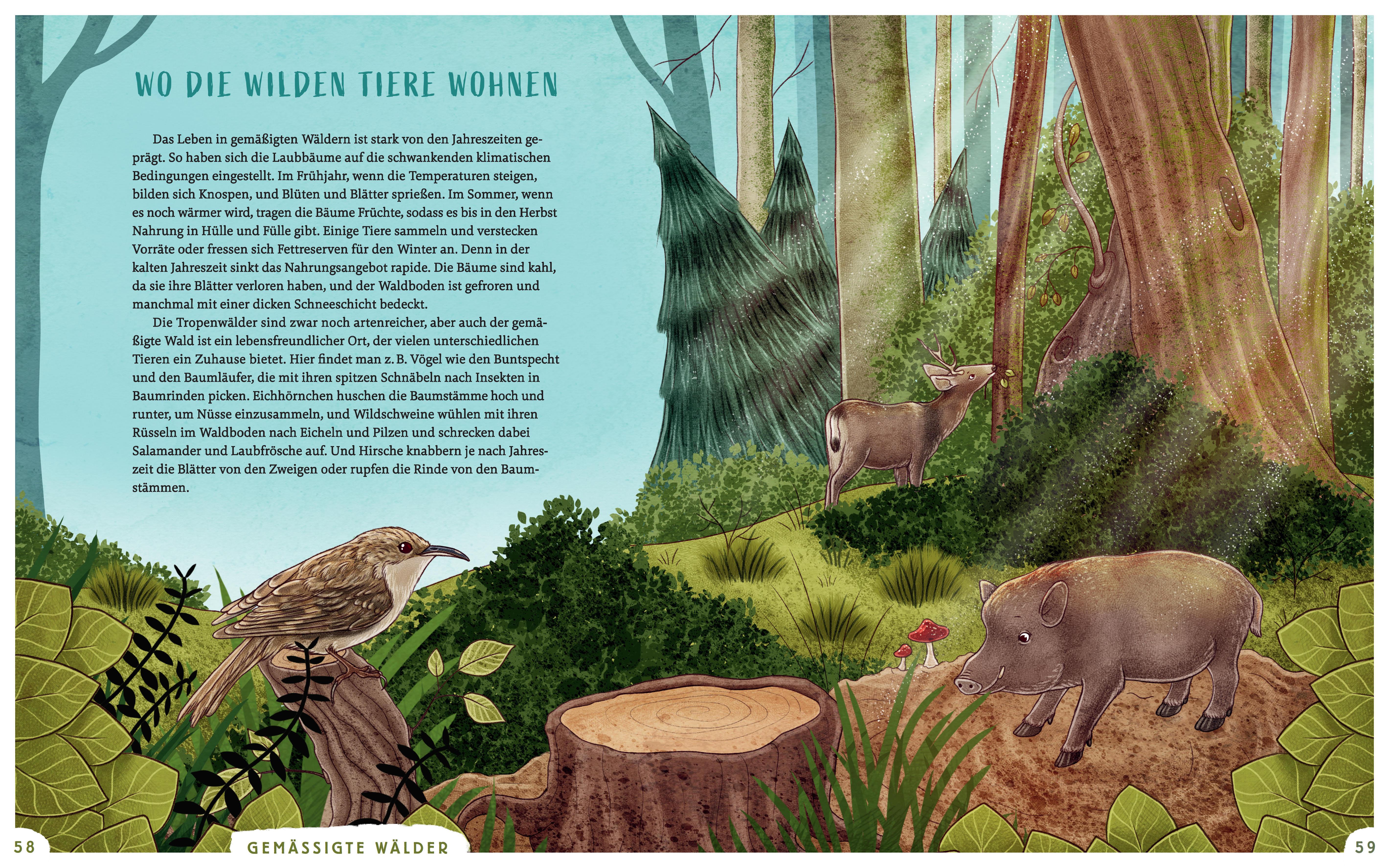 Beispielinhalt (Bild) Wir sind die Tiere dieser Welt