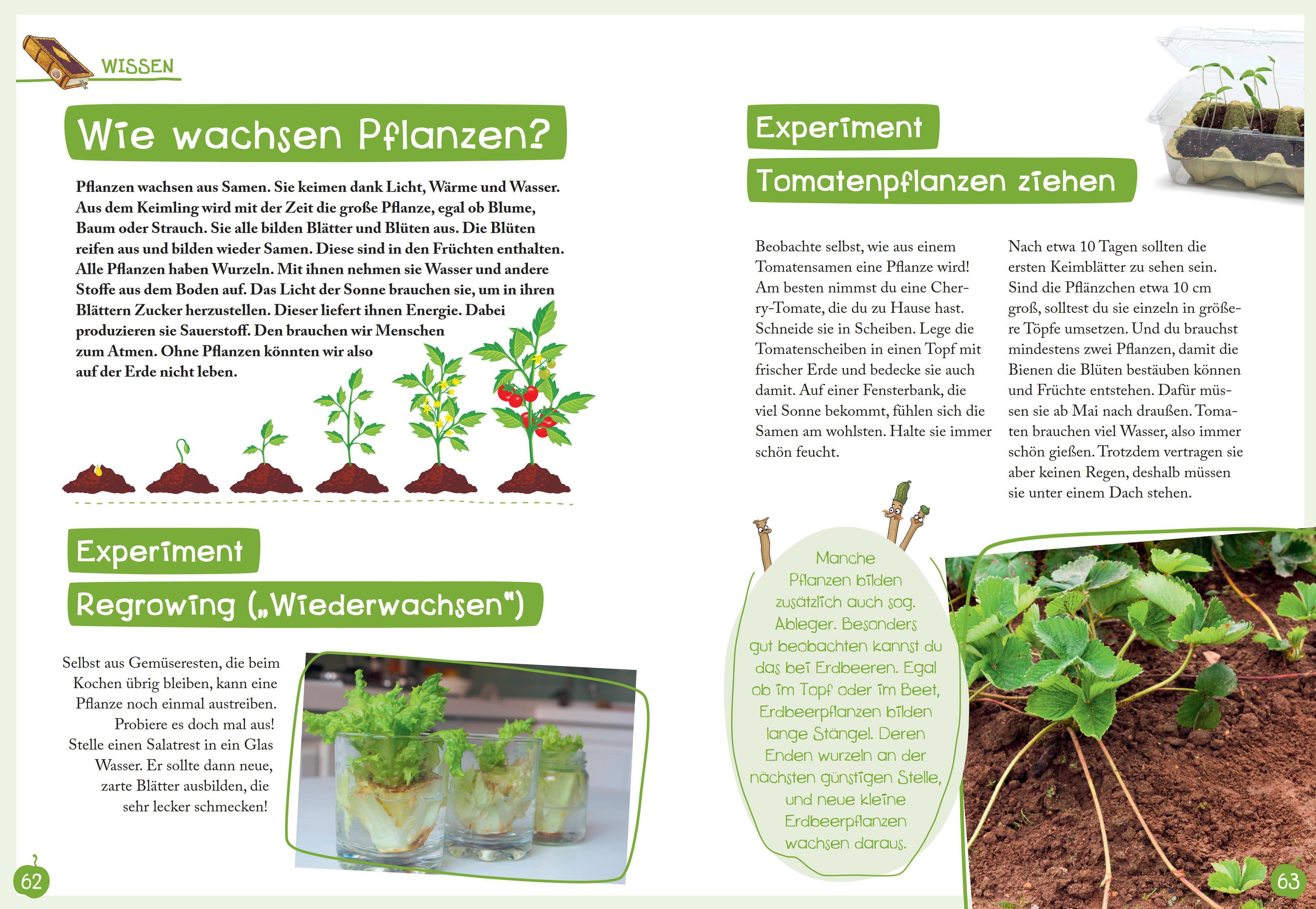 Beispielinhalt (Bild) Basteln & Spielen mit Petronella Apfelmus