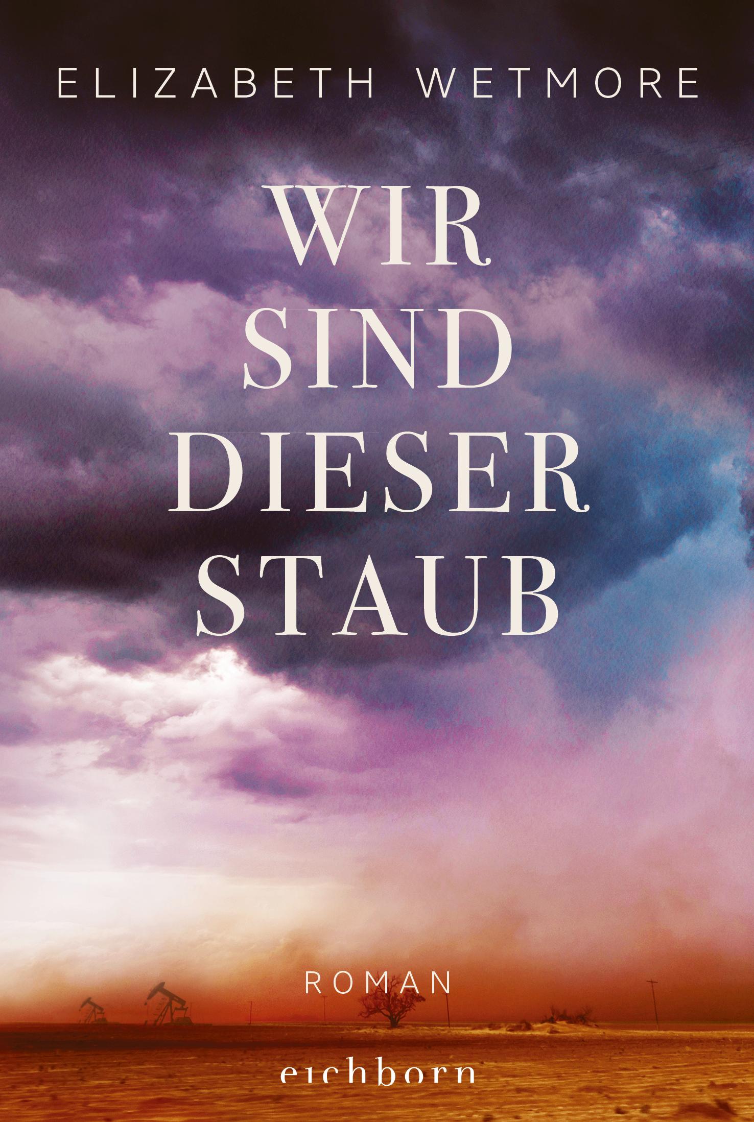 Vorderes Coverbild Wir sind dieser Staub