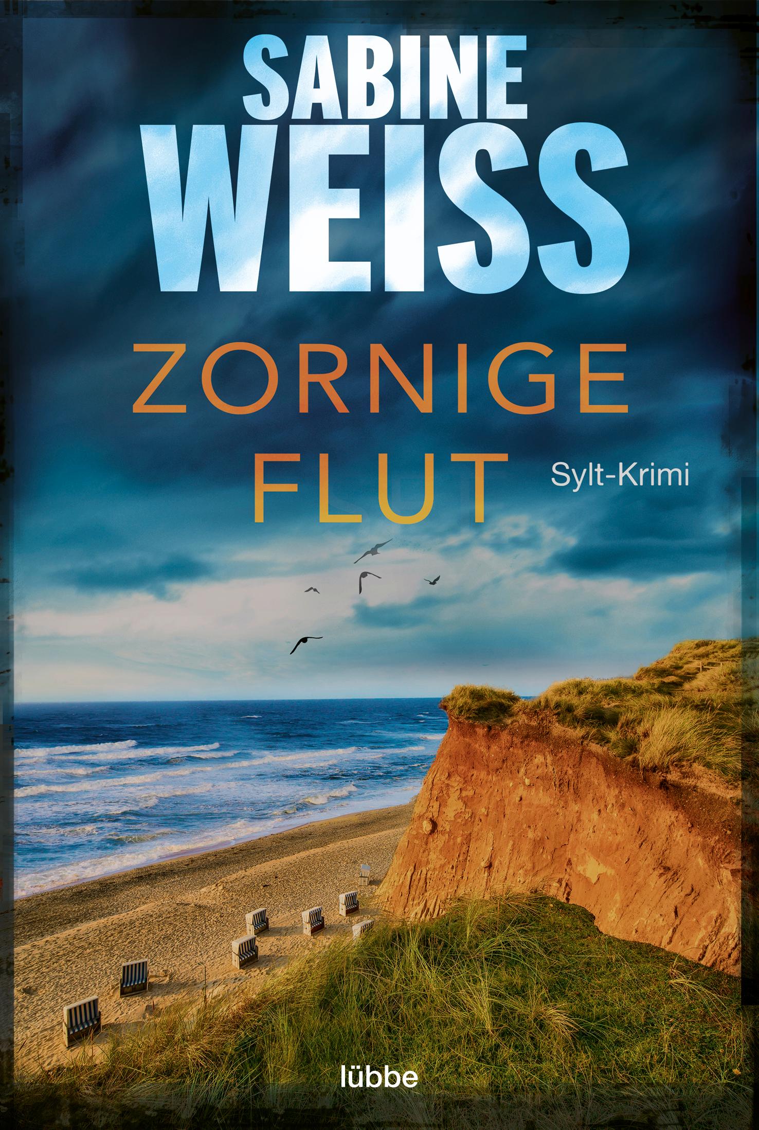 Vorderes Coverbild Zornige Flut