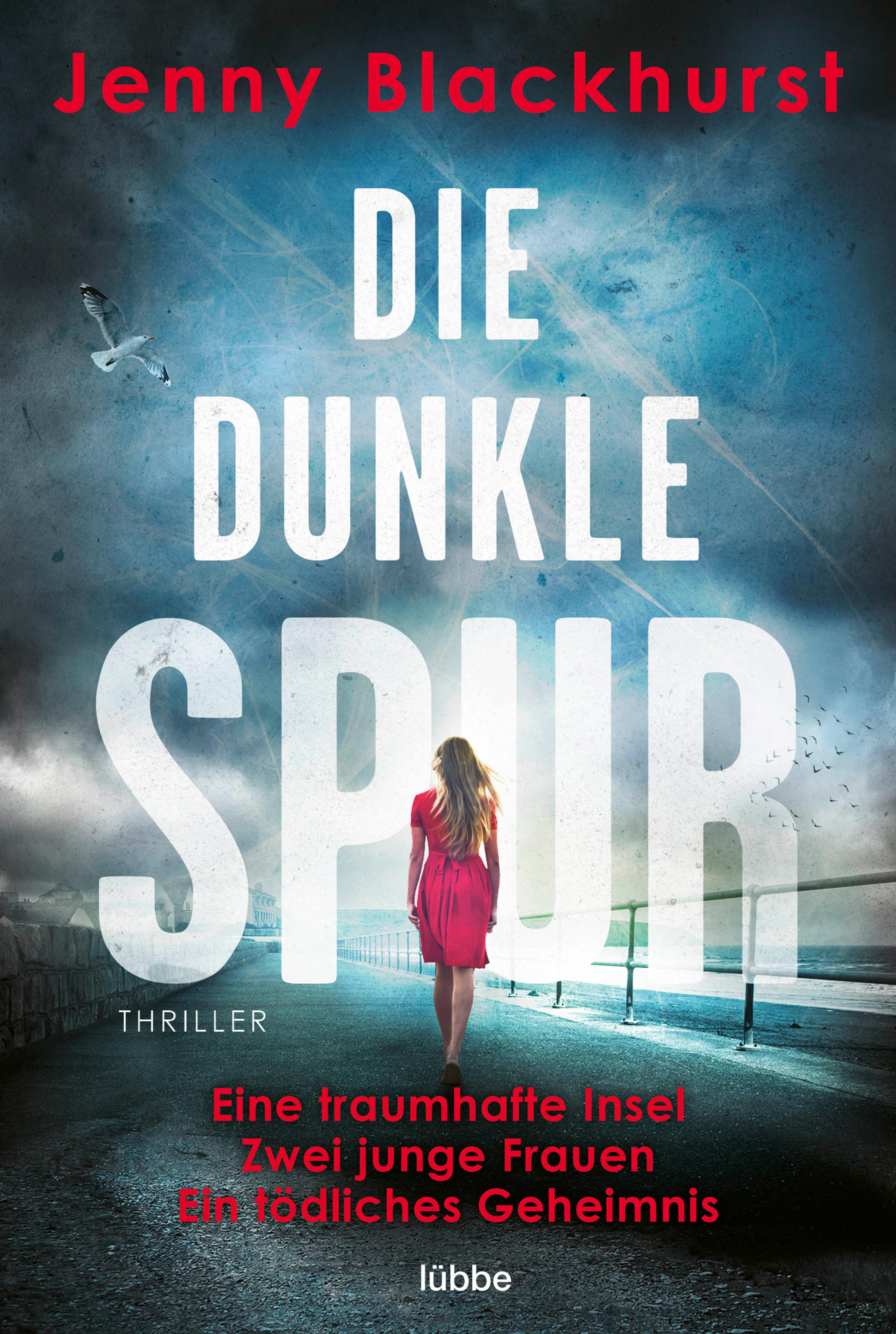 Vorderes Coverbild Die dunkle Spur