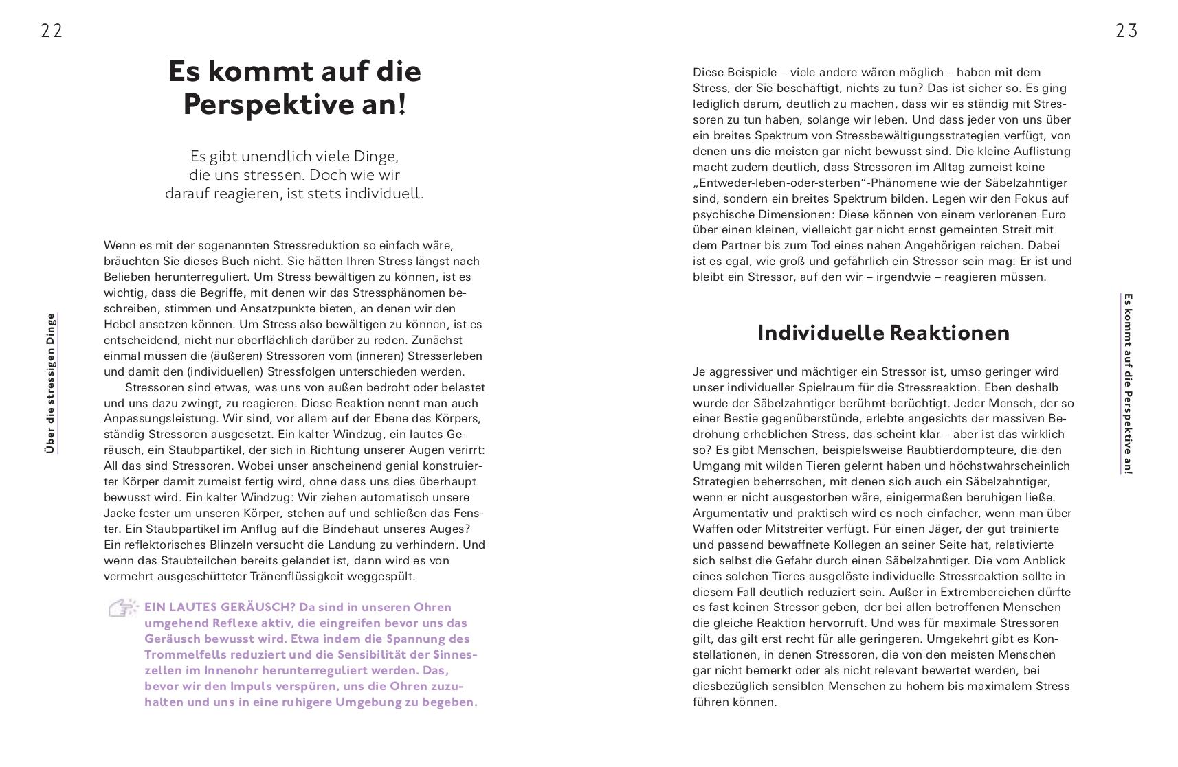 Beispielinhalt (Bild) Stress positiv nutzen