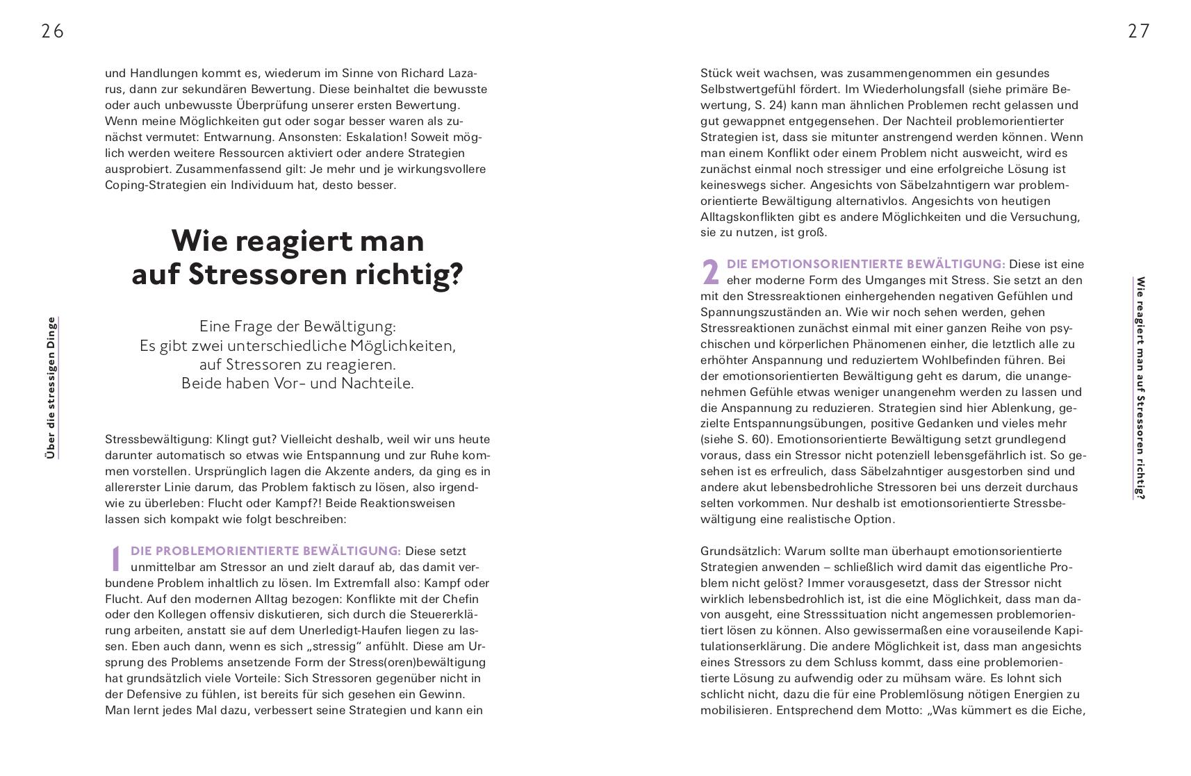 Beispielinhalt (Bild) Stress positiv nutzen