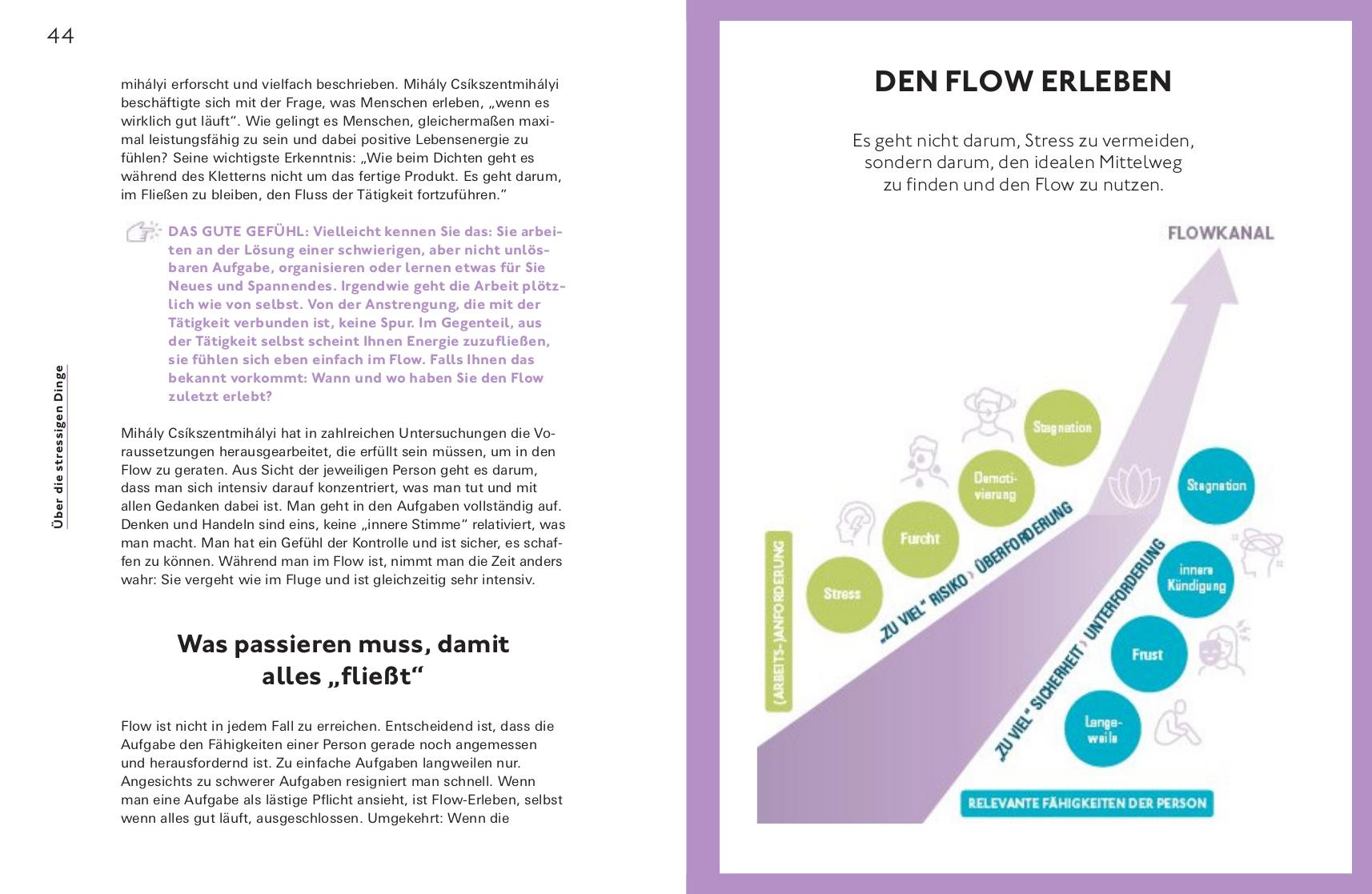 Beispielinhalt (Bild) Stress positiv nutzen