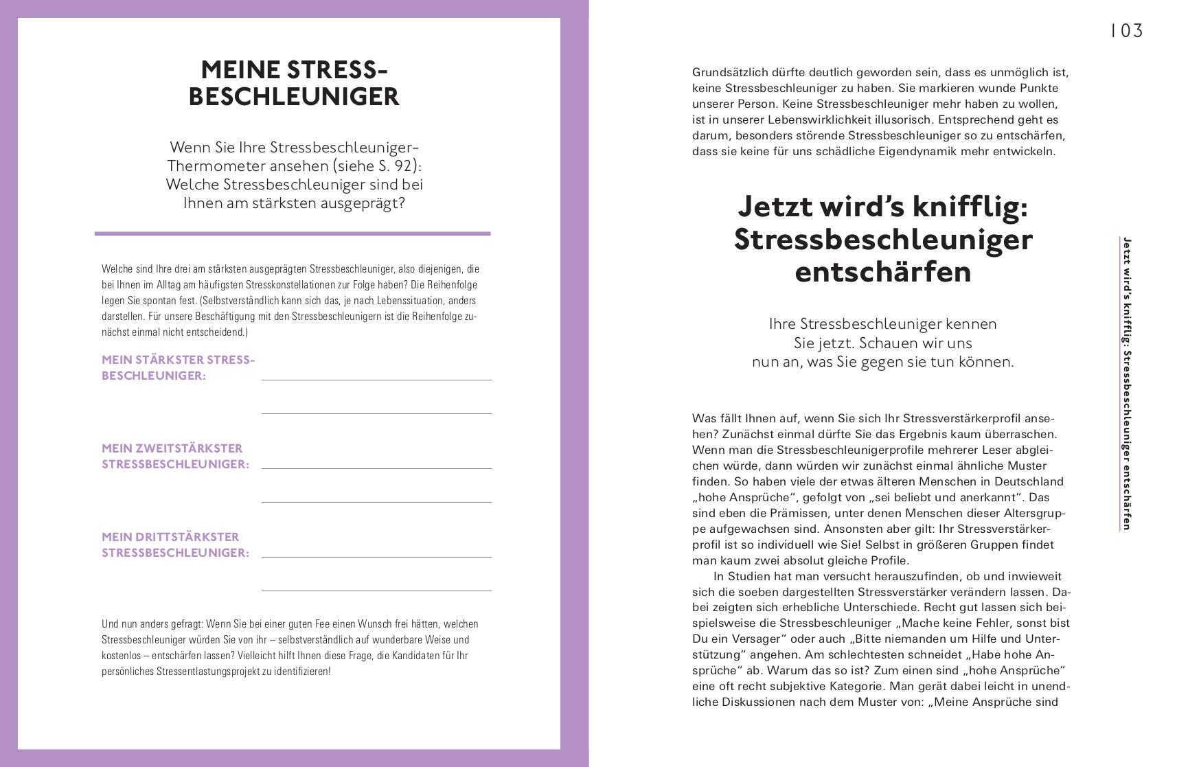 Beispielinhalt (Bild) Stress positiv nutzen