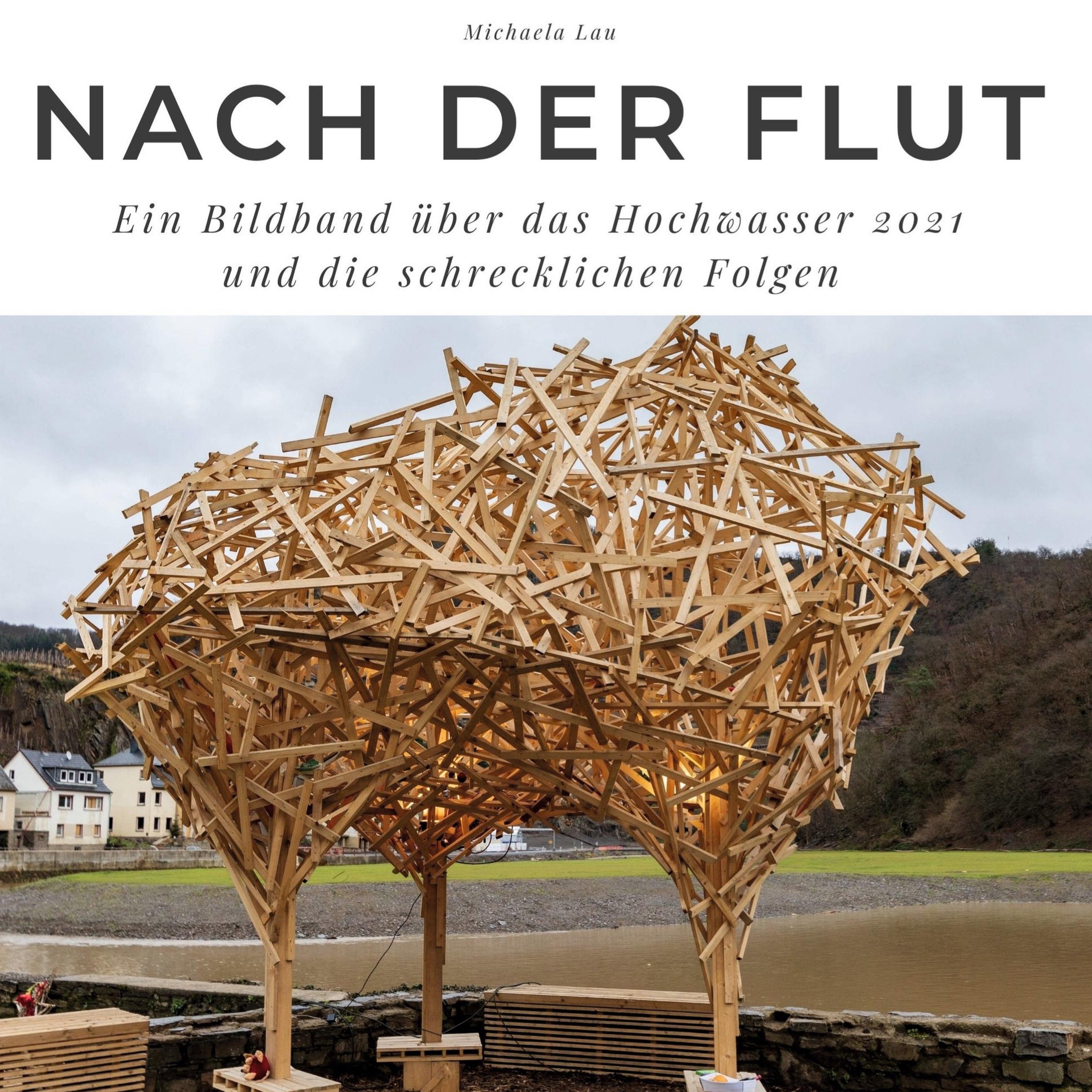 Vorderes Coverbild Nach der Flut