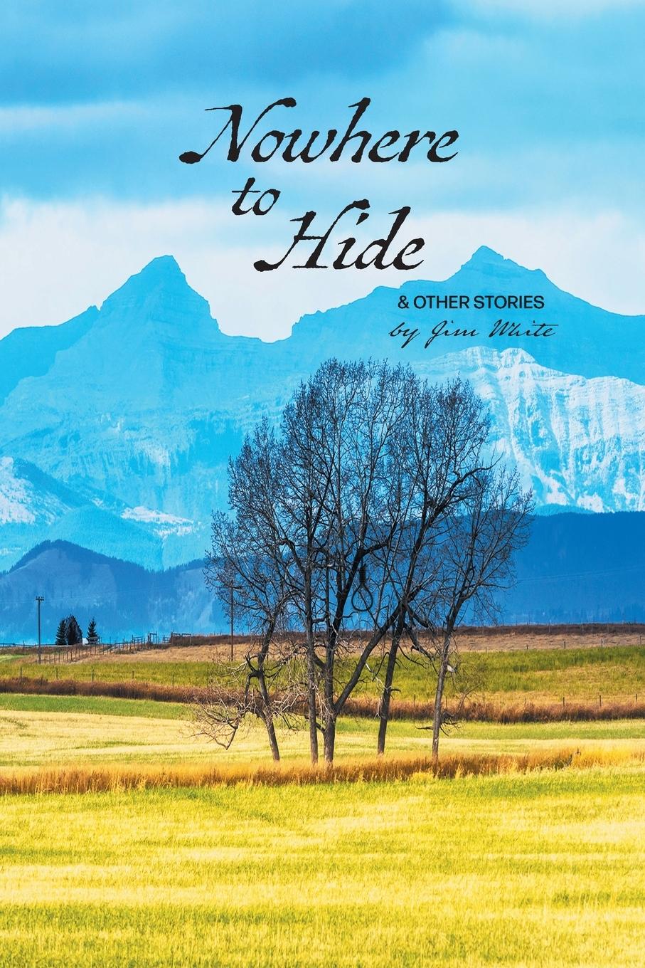 Vorderes Coverbild Nowhere to Hide & Other Stories