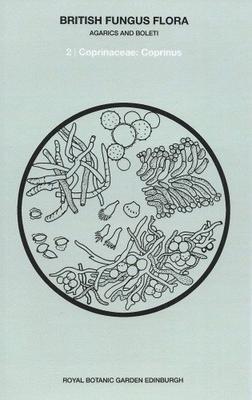 Vorderes Coverbild British Fungus Flora: Agarics and Boleti 2