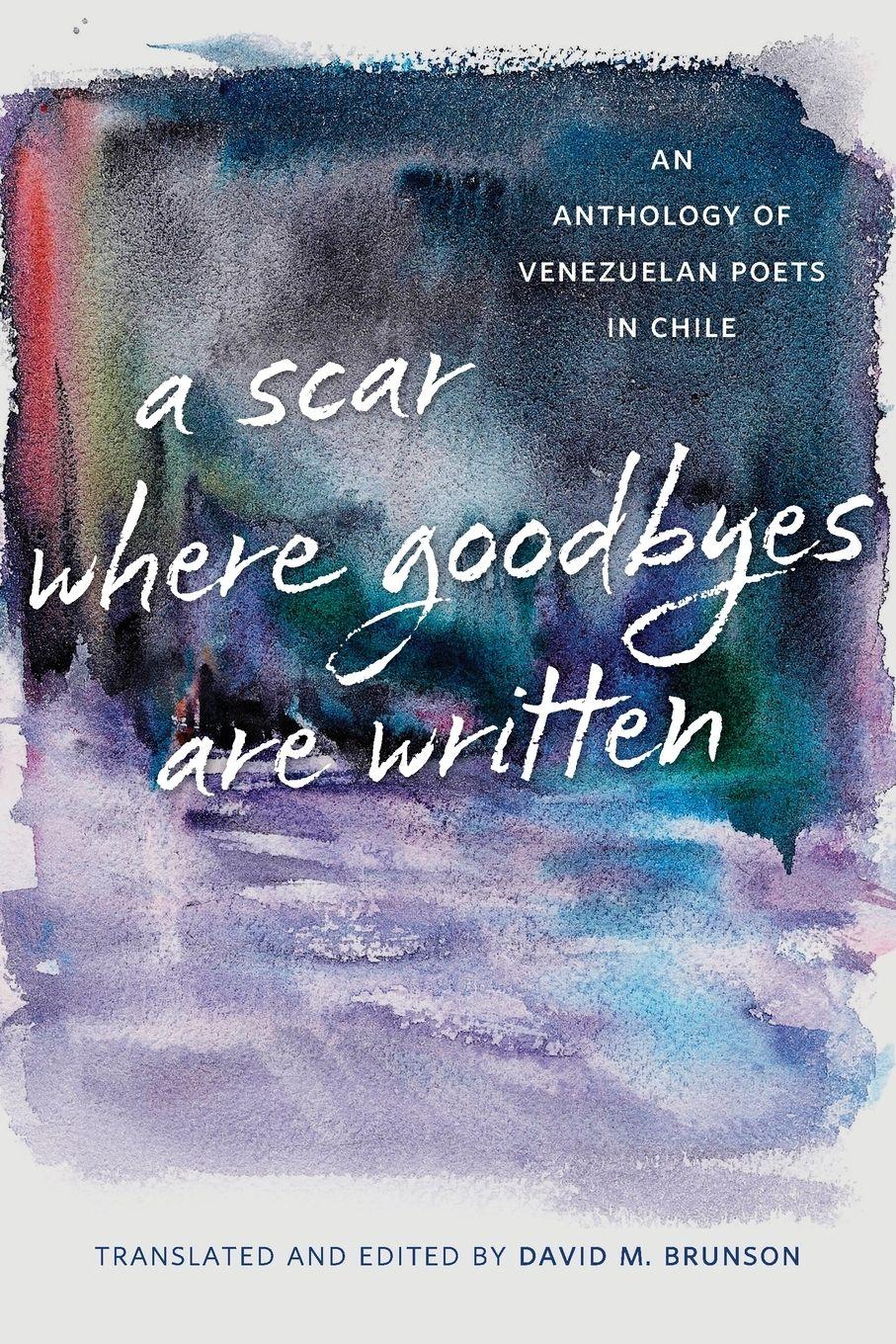 Vorderes Coverbild Scar Where Goodbyes Are Written
