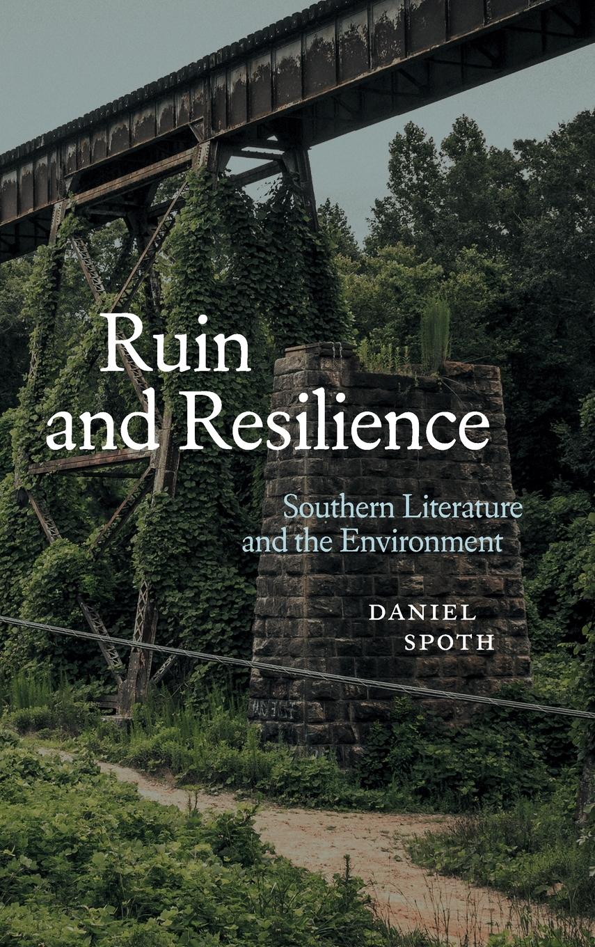 Vorderes Coverbild Ruin and Resilience