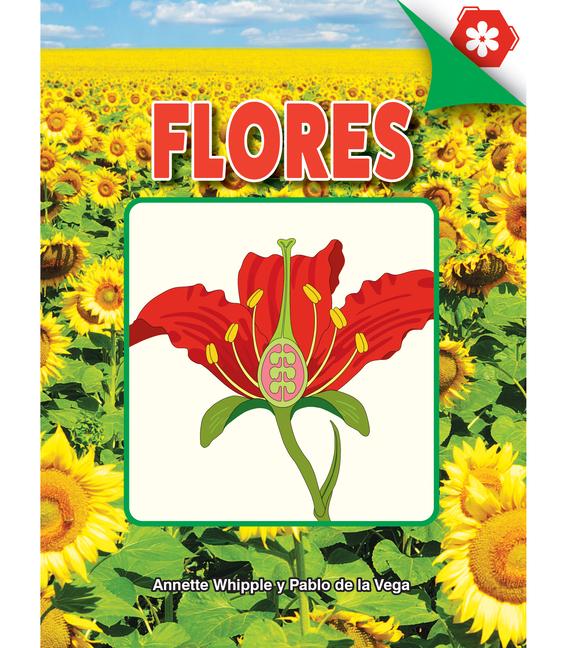 Vorderes Coverbild Flores