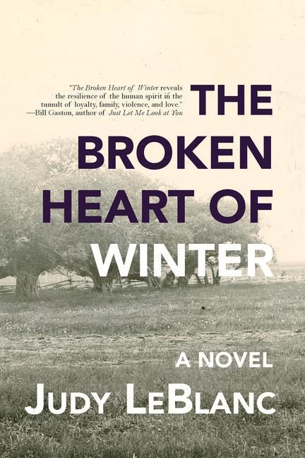 Vorderes Coverbild The Broken Heart of Winter