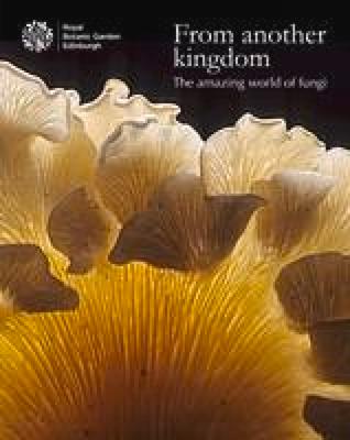 Vorderes Coverbild From Another Kingdom