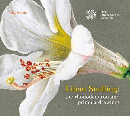 Vorderes Coverbild Lillian Snelling