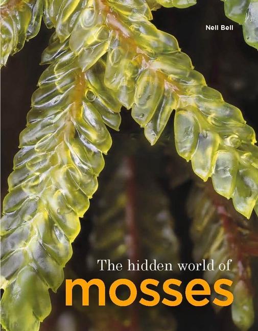 Vorderes Coverbild The Hidden World of Mosses