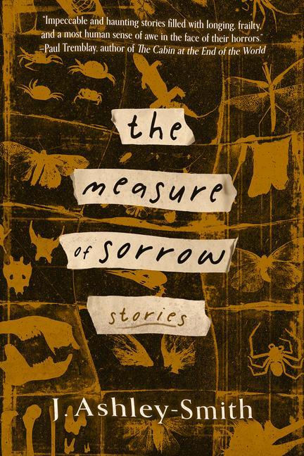 Vorderes Coverbild The Measure of Sorrow