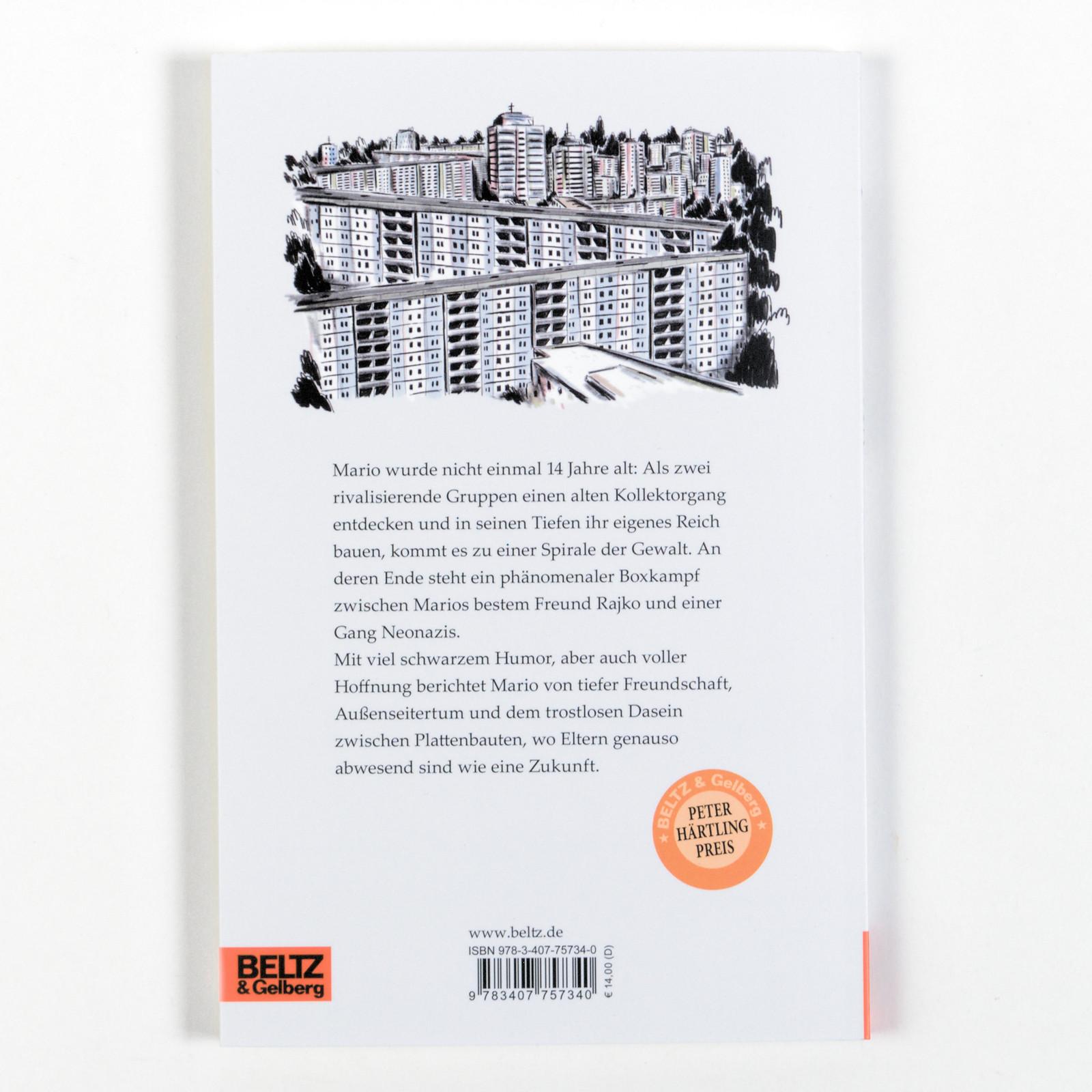 Rückseitencover Kollektorgang