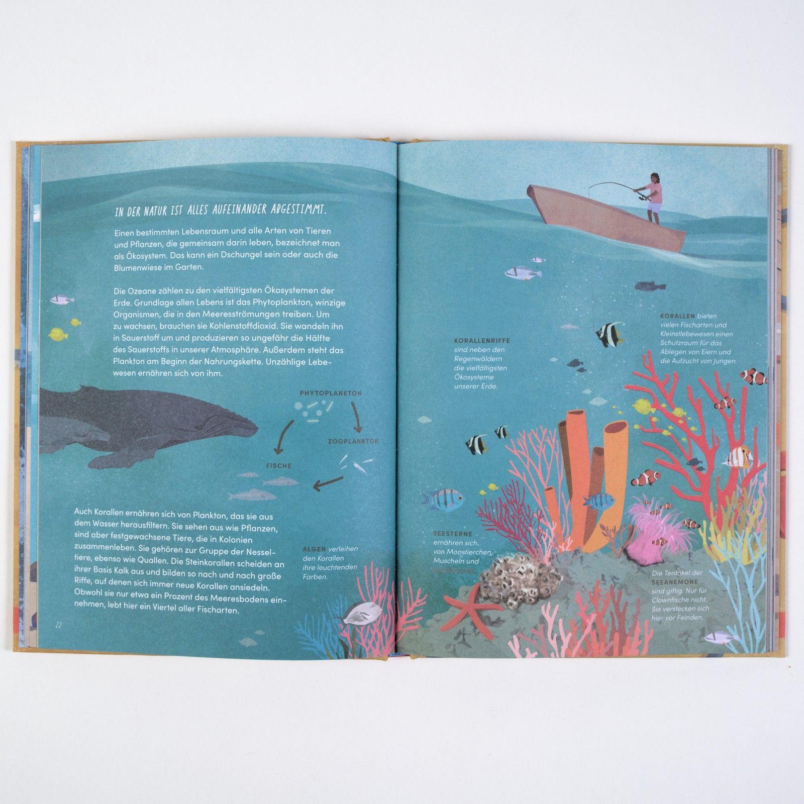 Beispielinhalt (Bild) Wir Menschen und das Meer