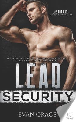 Vorderes Coverbild Lead Security