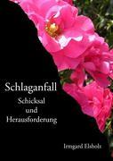 Vorderes Coverbild Schlaganfall
