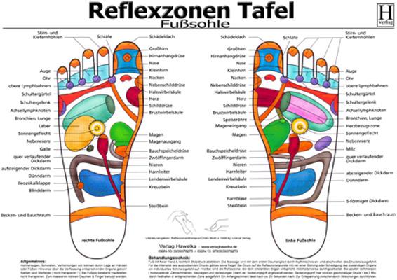 Vorderes Coverbild Fussreflexzonen Tafel. Fusssohle. DIN A3