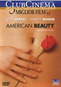 Vorderes Coverbild American Beauty