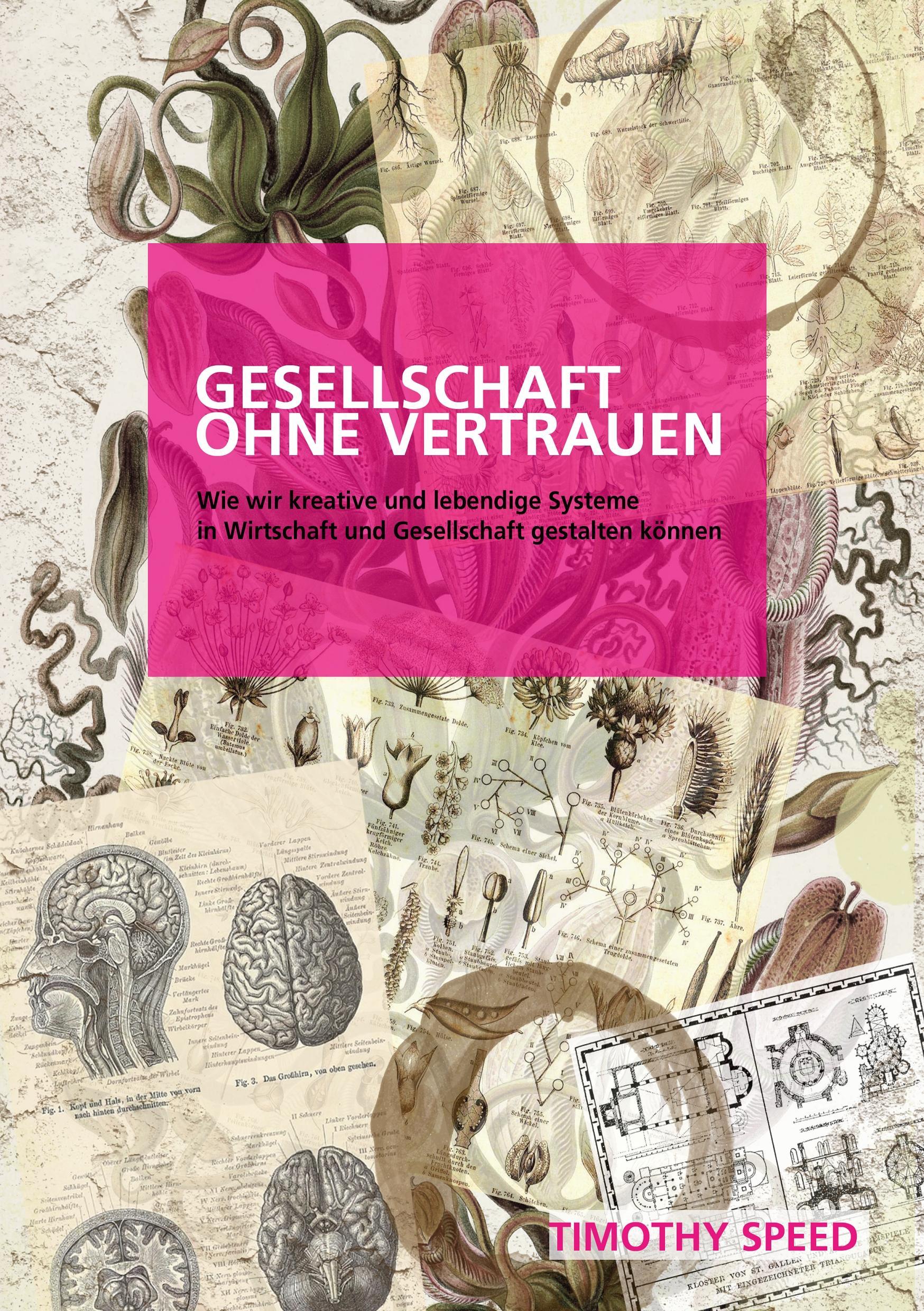 Vorderes Coverbild Gesellschaft ohne Vertrauen