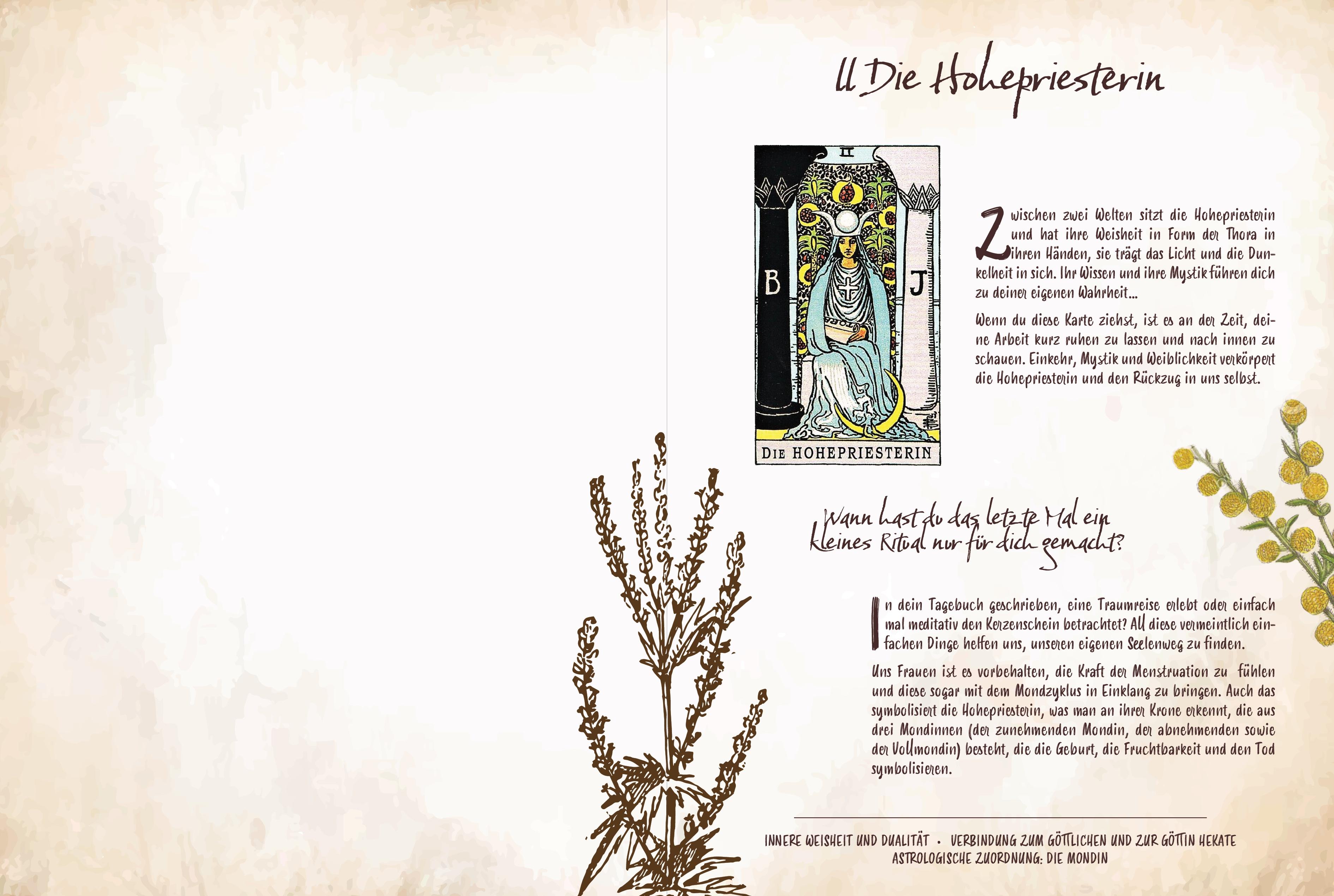 Beispielinhalt (Bild) Tarot & Grüne Magie