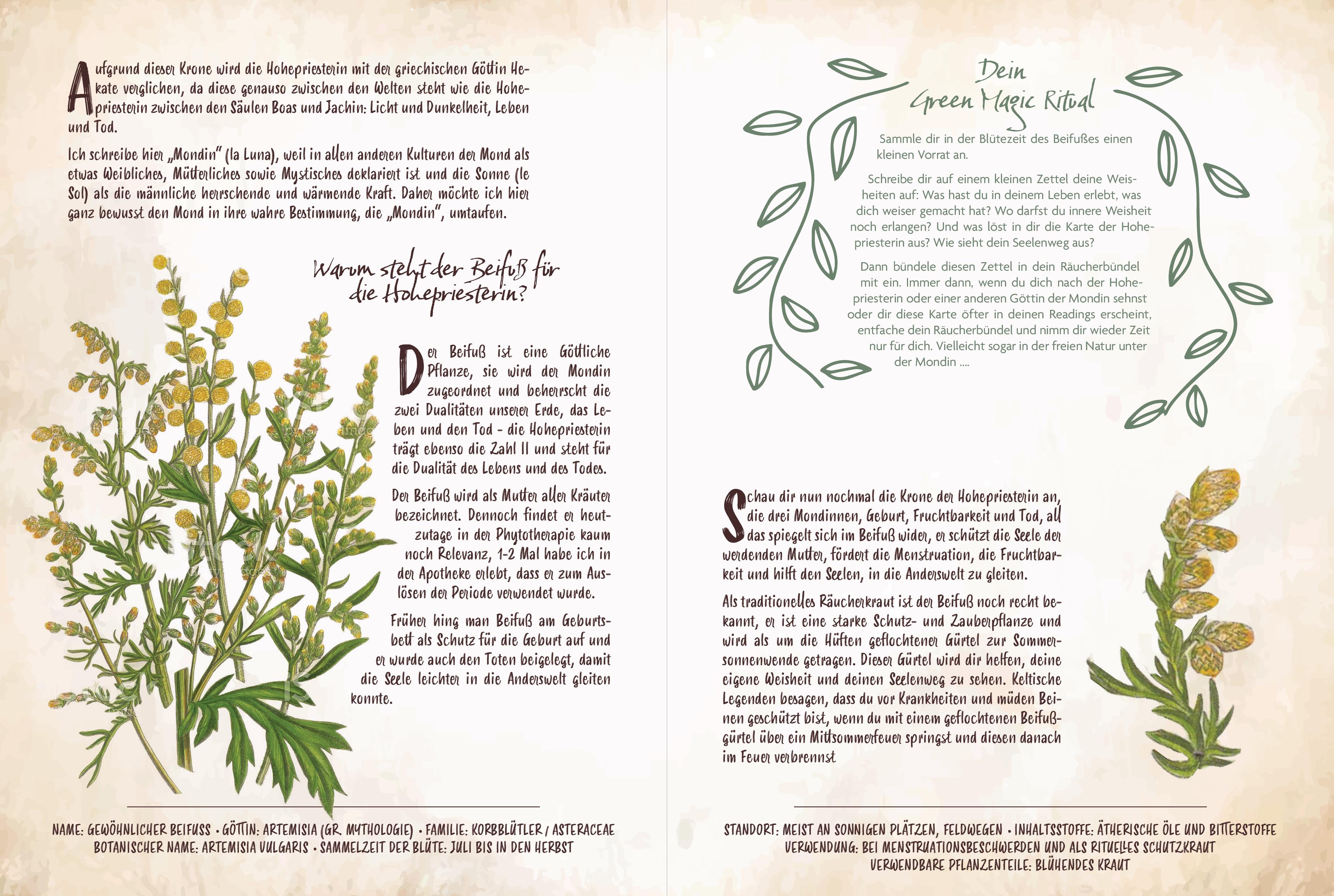 Beispielinhalt (Bild) Tarot & Grüne Magie