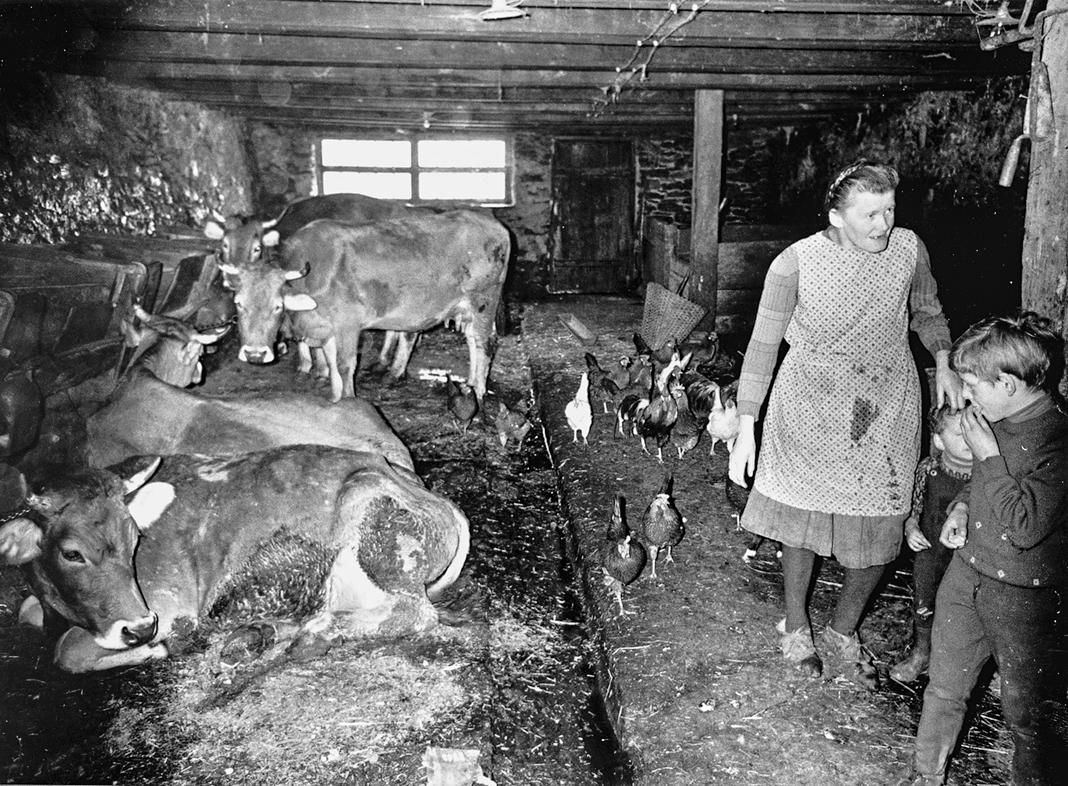 Beispielinhalt (Bild) Die Erben der Einsamkeit