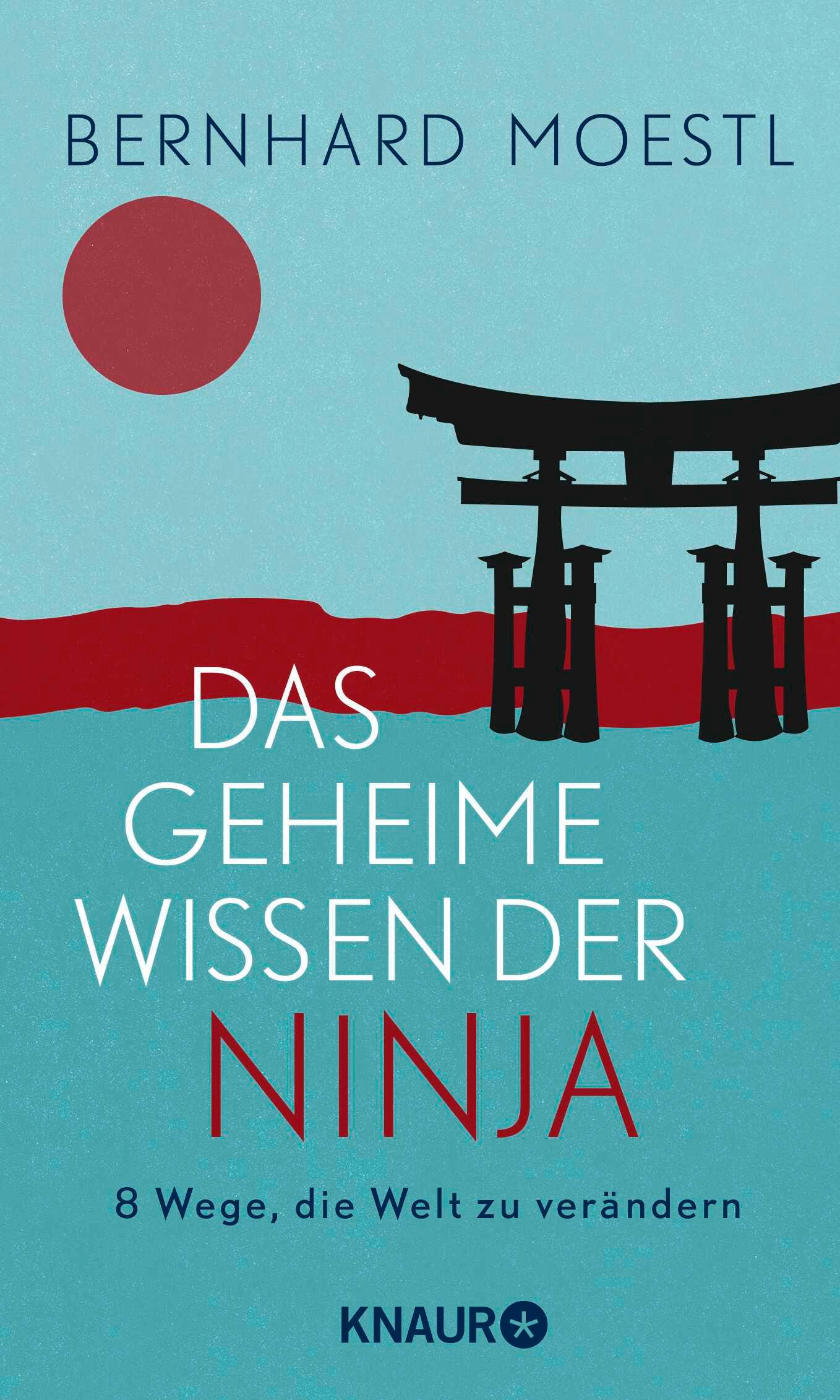 Vorderes Coverbild Das geheime Wissen der Ninja