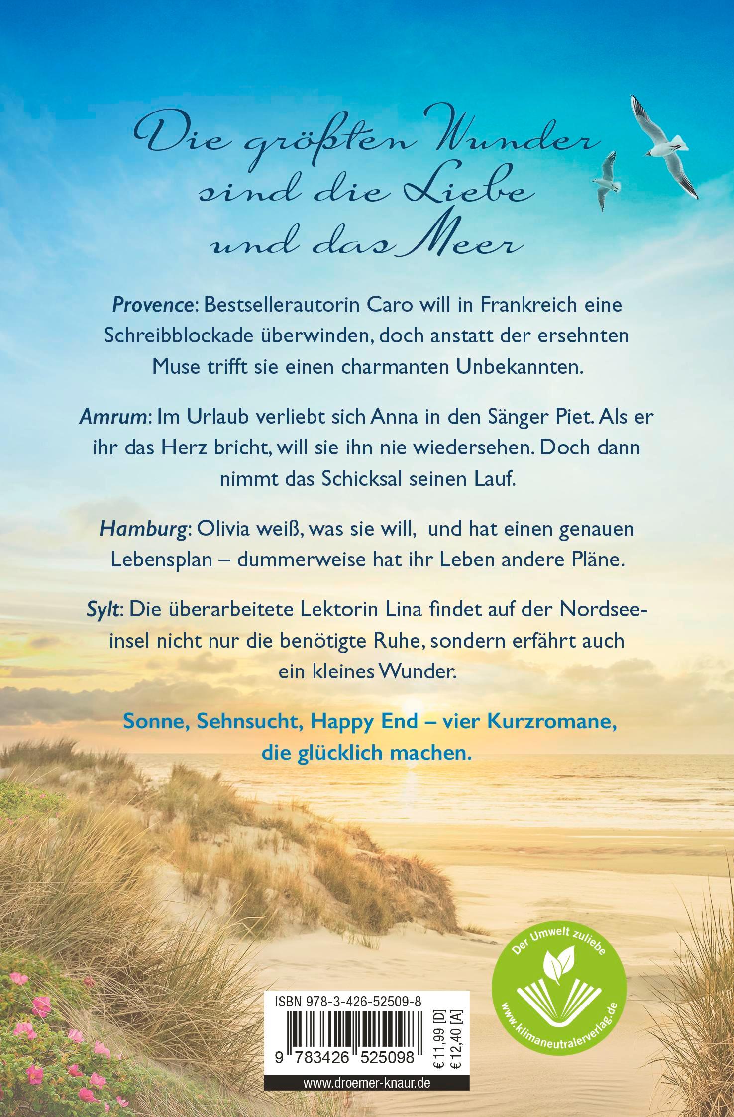 Rückseitencover Zwischen den Wellen glitzert das Glück