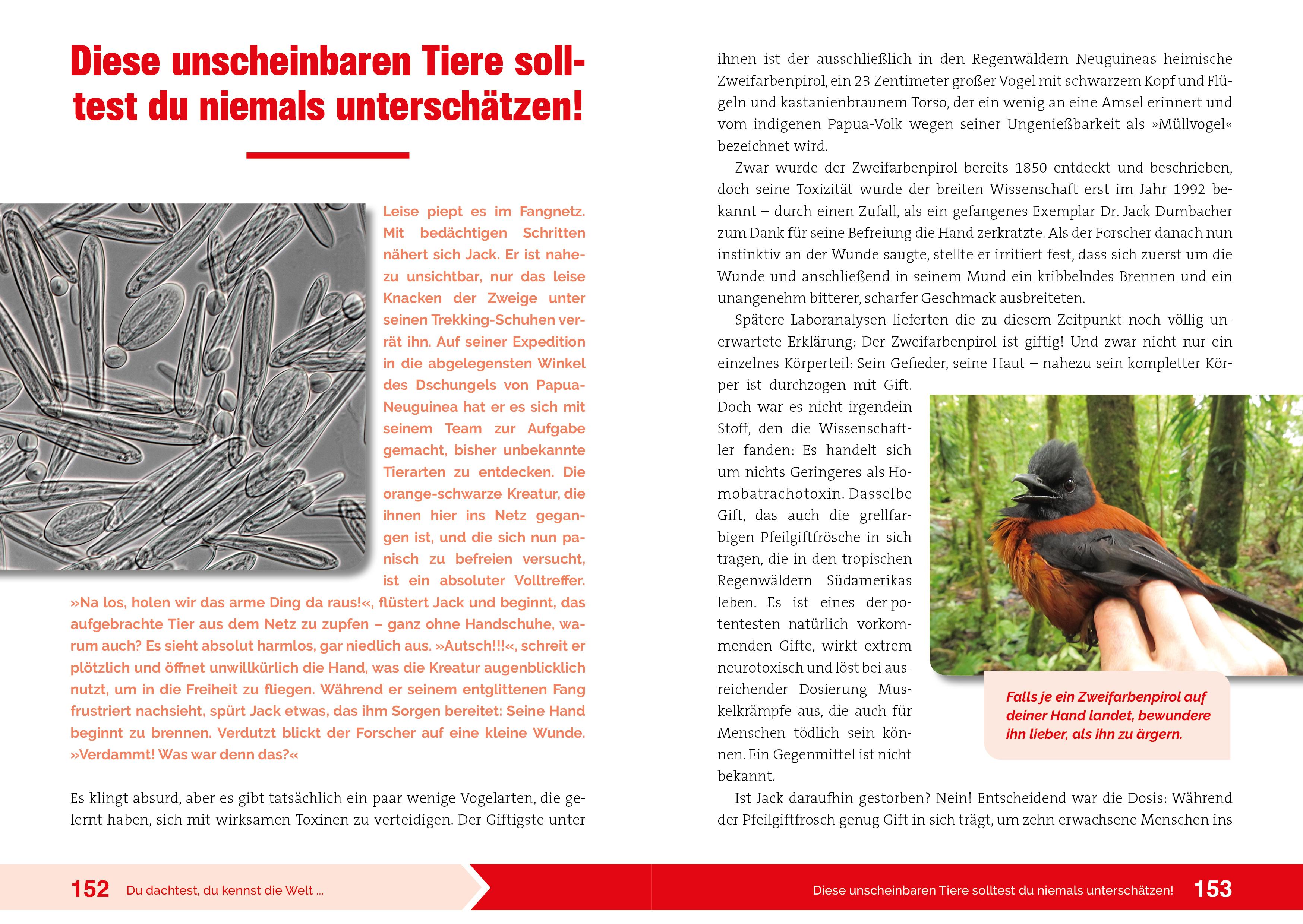 Beispielinhalt (Bild) Du dachtest, du kennst die Welt...