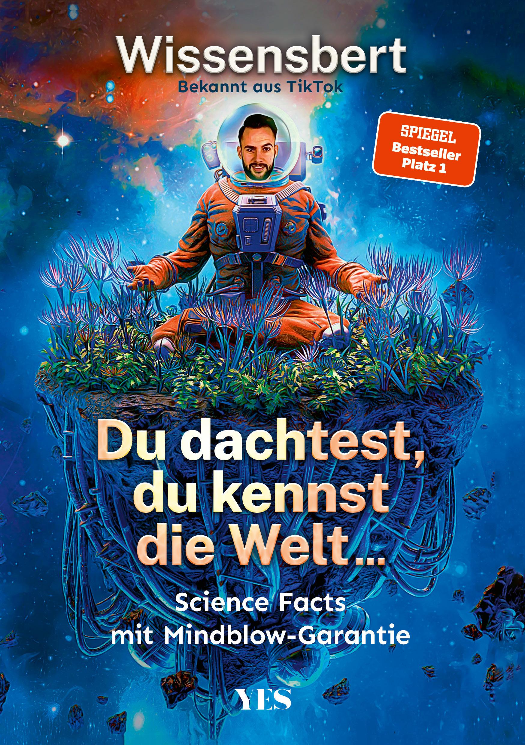 Vorderes Coverbild Du dachtest, du kennst die Welt...