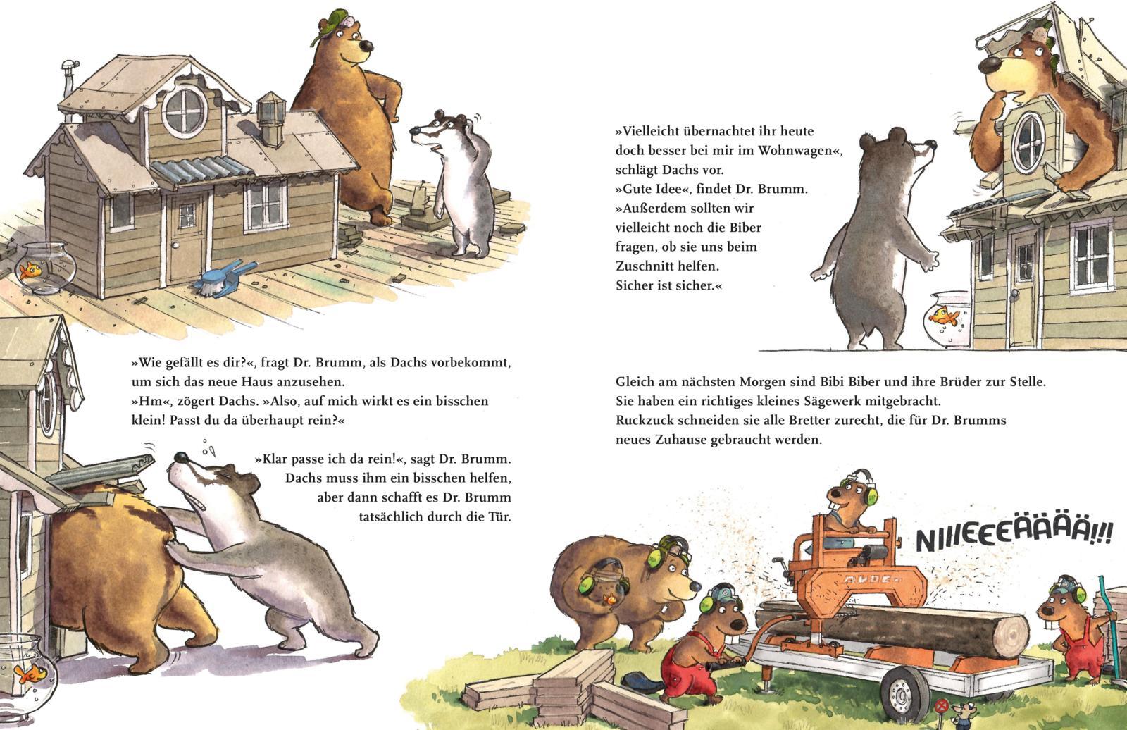 Beispielinhalt (Bild) Dr. Brumm: Dr. Brumm baut ein Haus