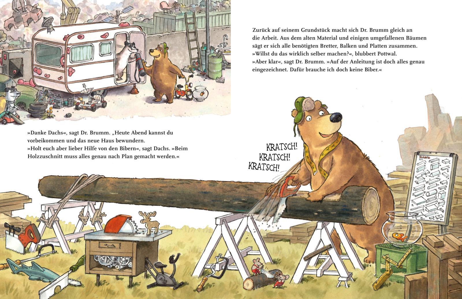 Beispielinhalt (Bild) Dr. Brumm: Dr. Brumm baut ein Haus