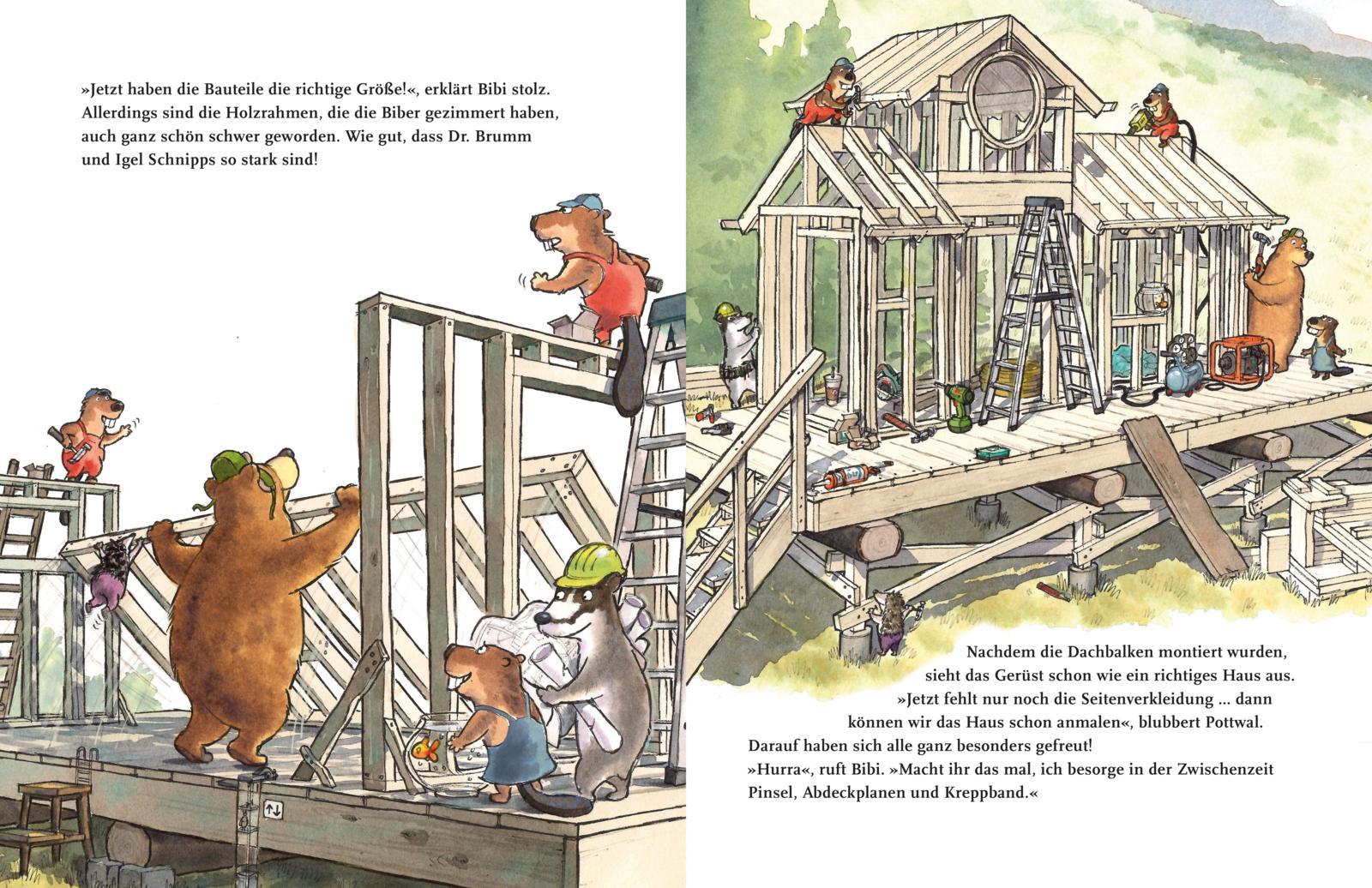 Beispielinhalt (Bild) Dr. Brumm: Dr. Brumm baut ein Haus