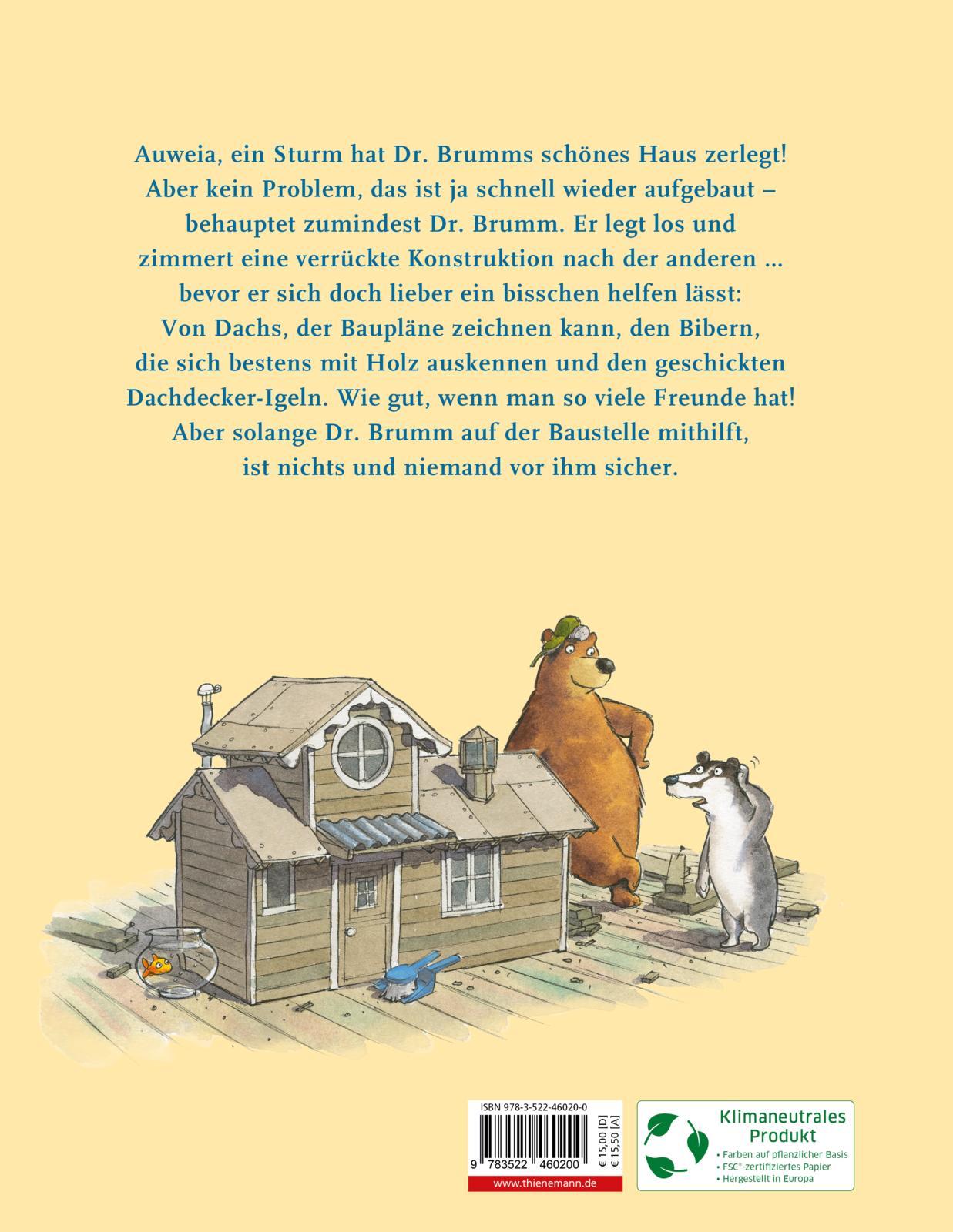 Rückseitencover Dr. Brumm: Dr. Brumm baut ein Haus