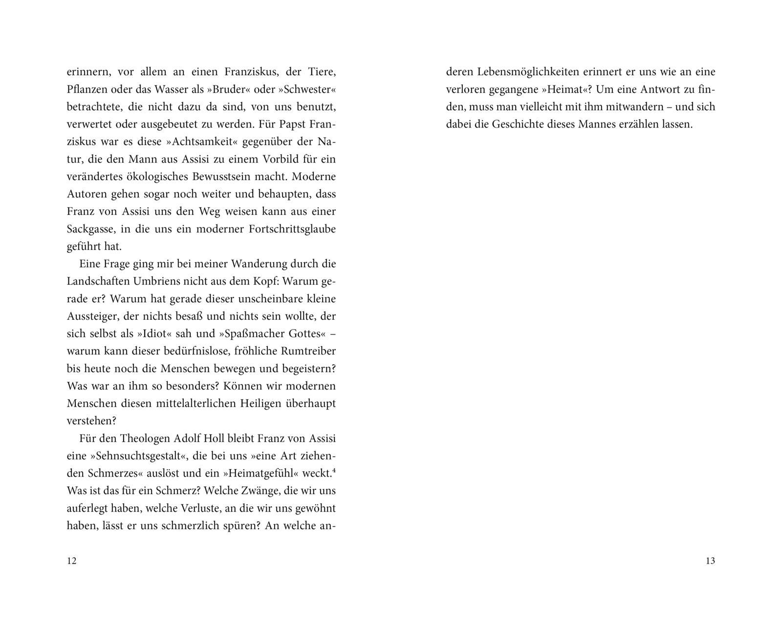 Beispielinhalt (Bild) Franz von Assisi