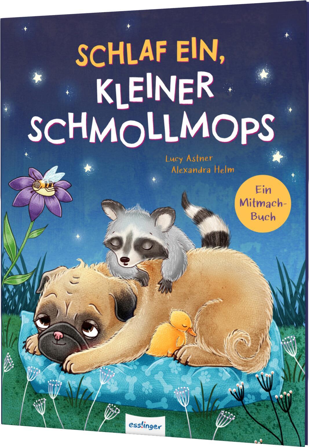 Vorderes Coverbild Schlaf ein, kleiner Schmollmops