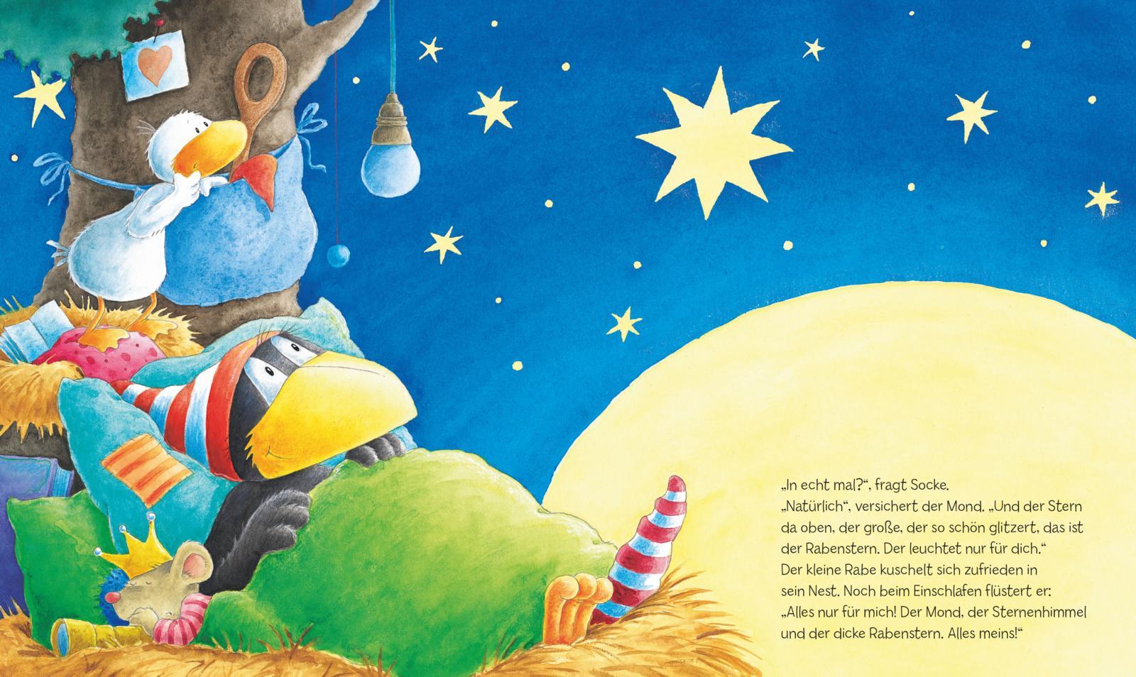 Beispielinhalt (Bild) Der kleine Rabe Socke: Alles gespielt!