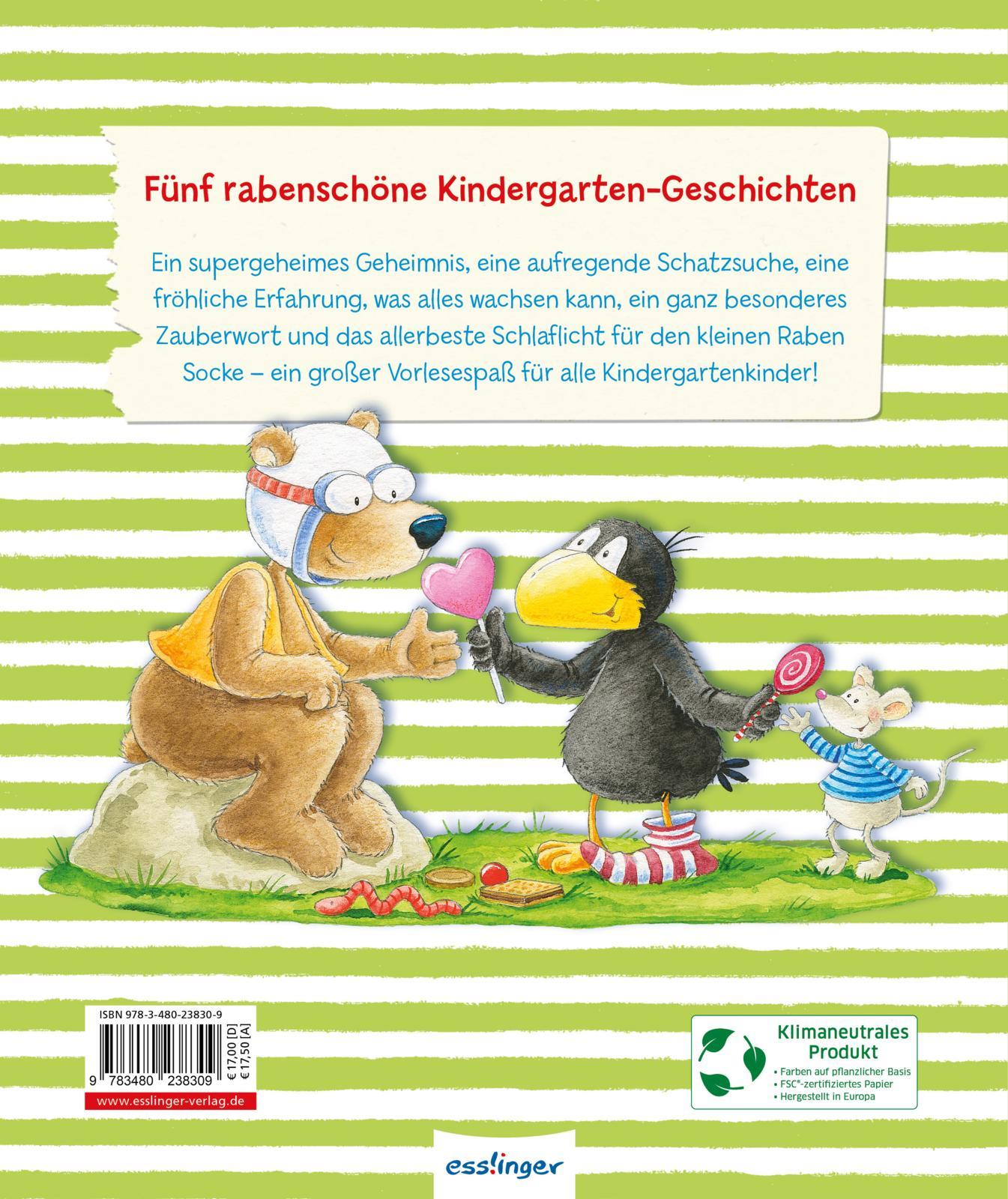 Rückseitencover Der kleine Rabe Socke: Alles gespielt!