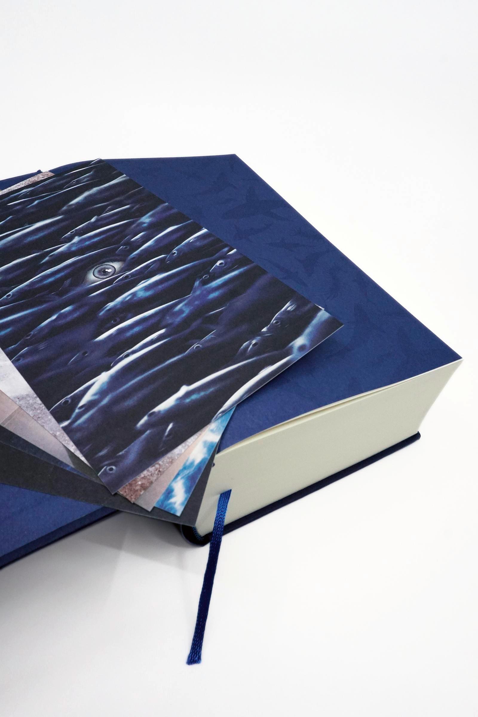 Beispielinhalt (Bild) Der Schwarm