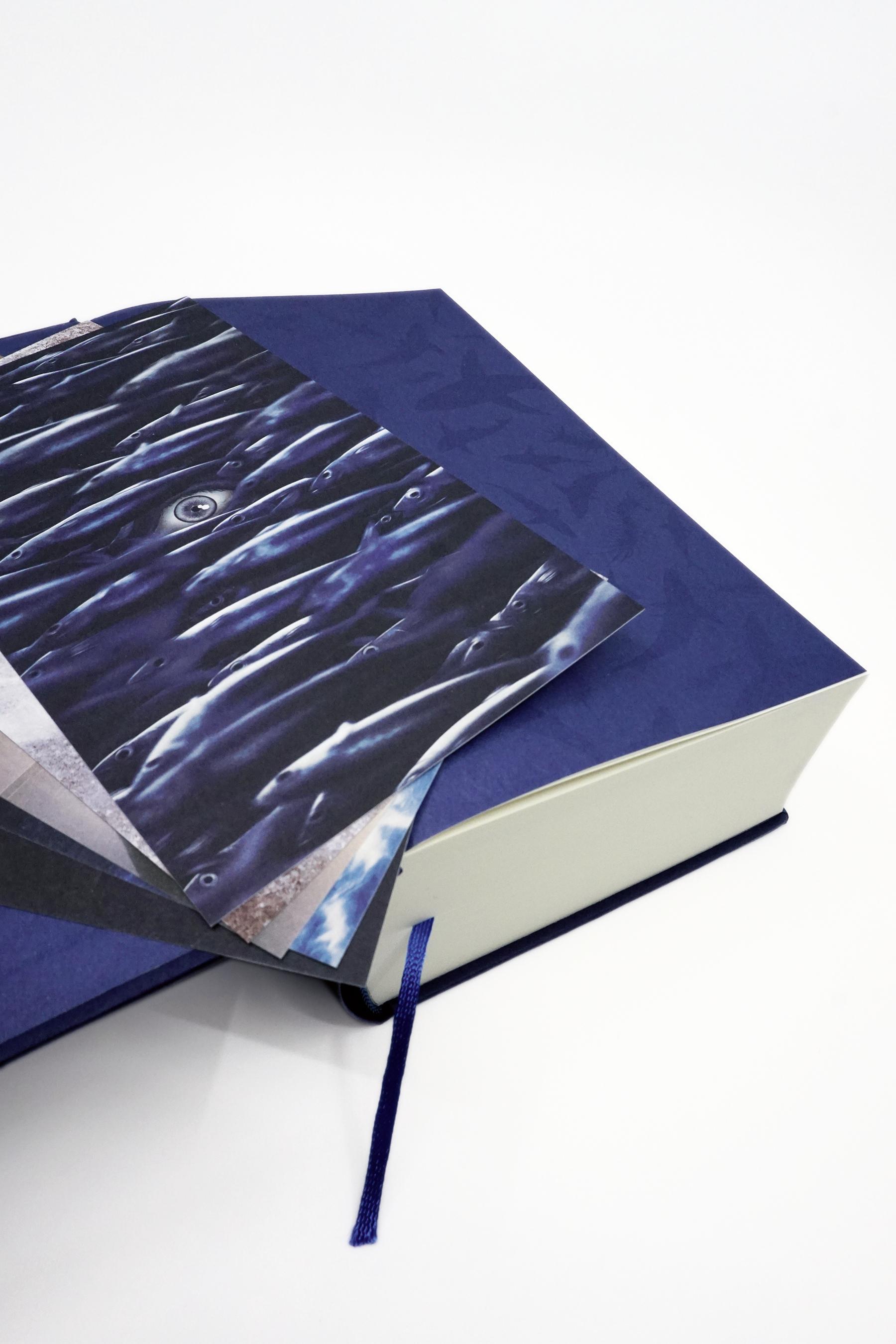 Beispielinhalt (Bild) Der Schwarm